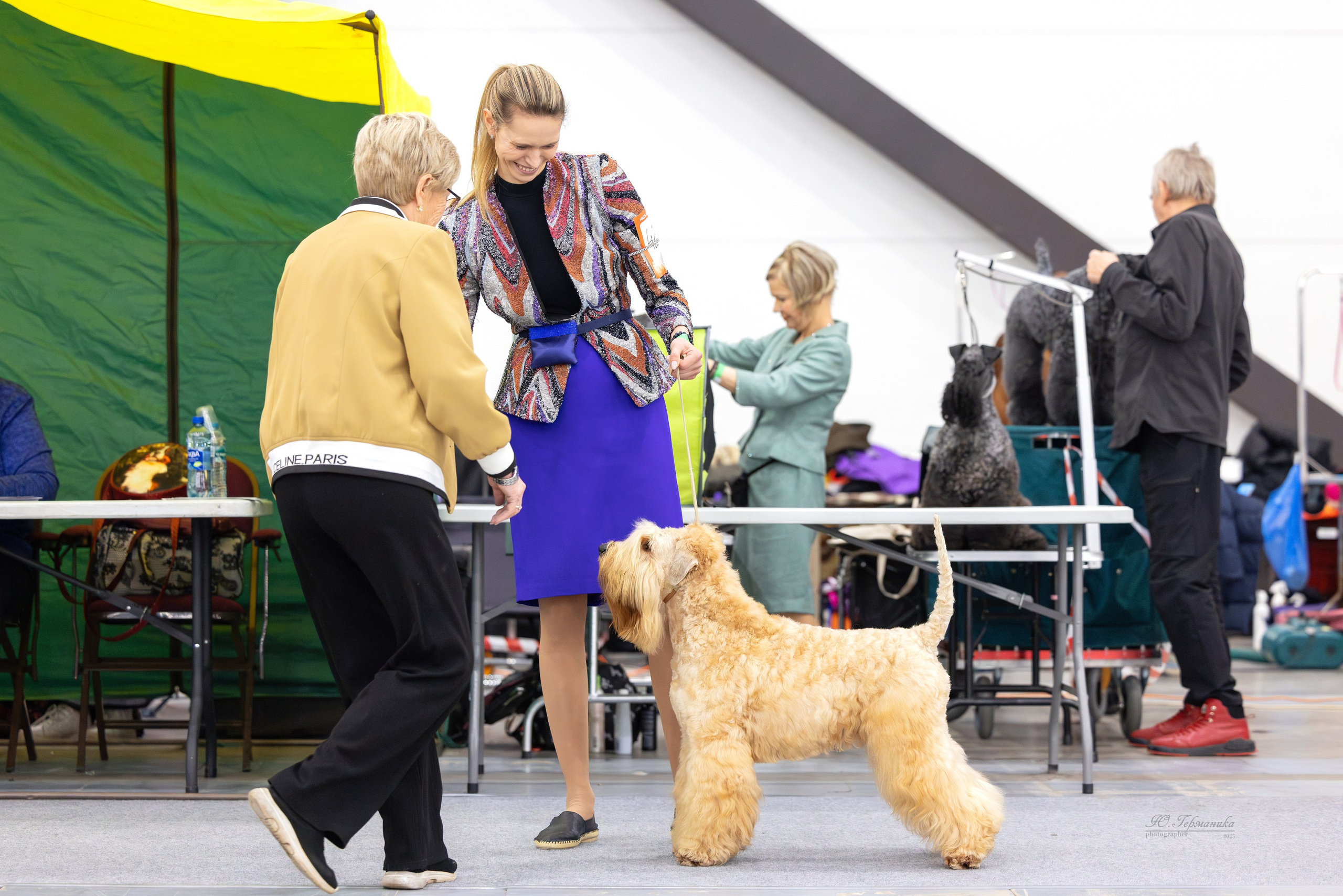 Питер 12-13.12.2025. Фотограф-анималист Юлия Германика