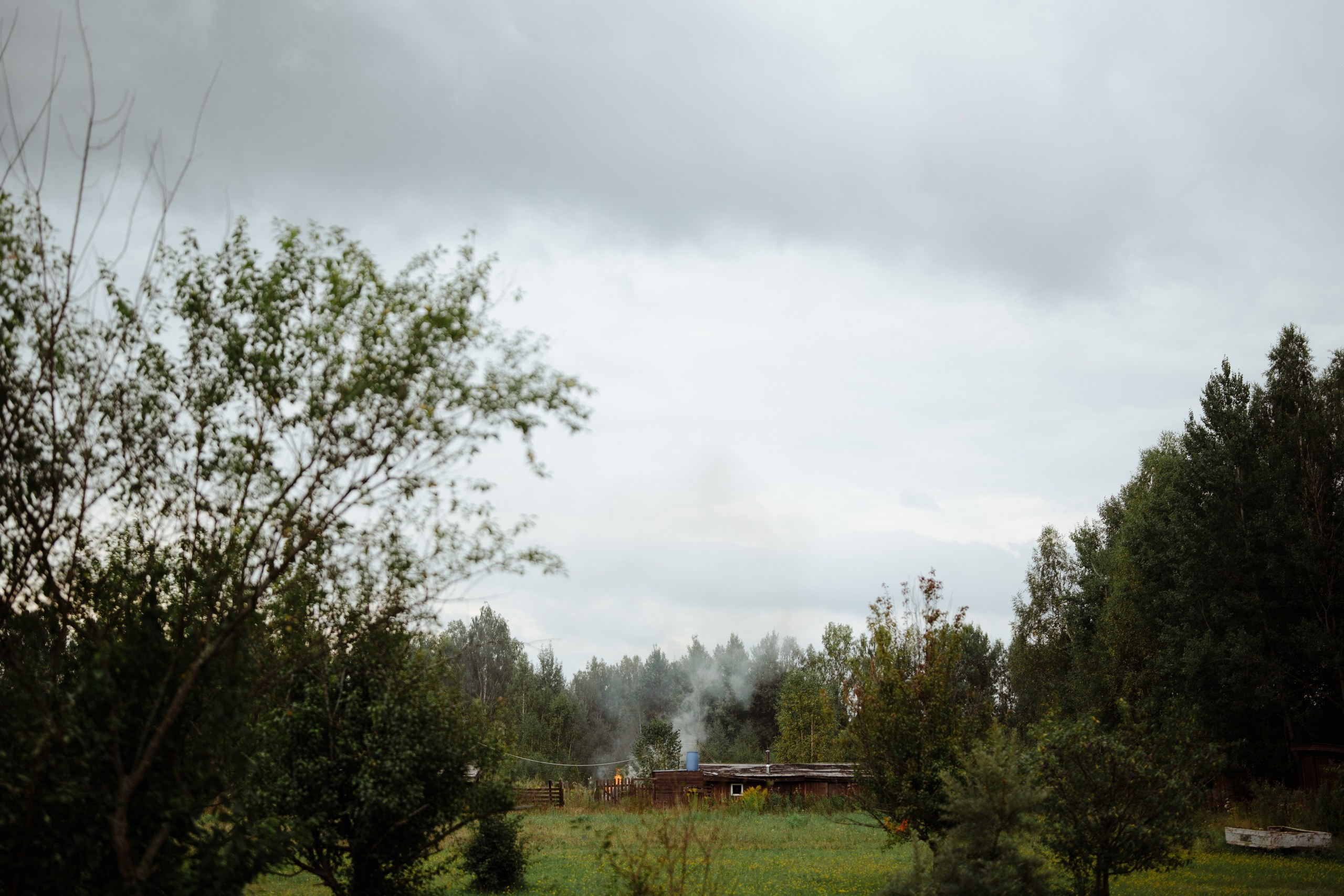 Сюжет № 11|Виктория Алексеенко