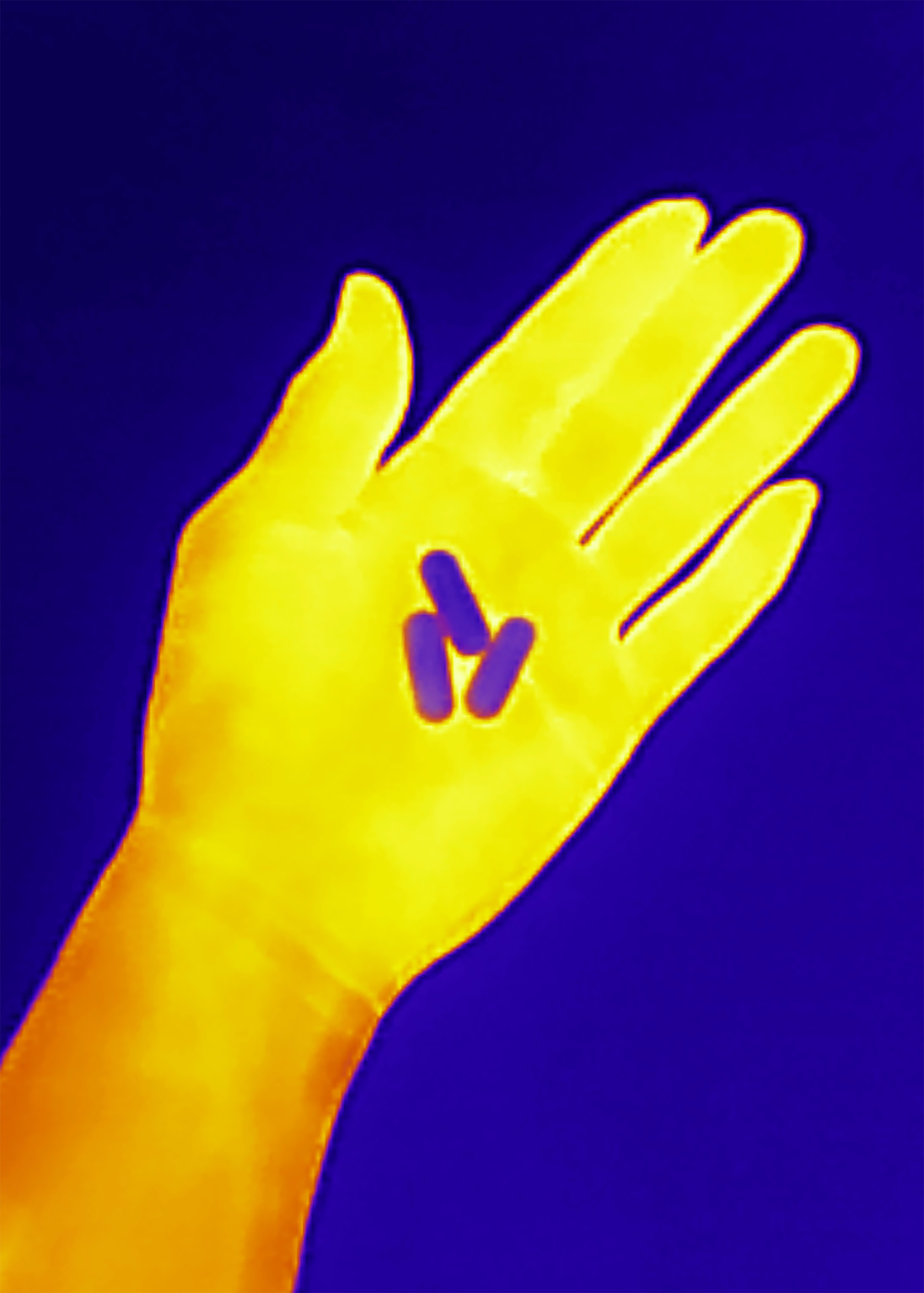 Если б я была удавом / If I were a boa constrictor. Visual artist Olga Burmistrova