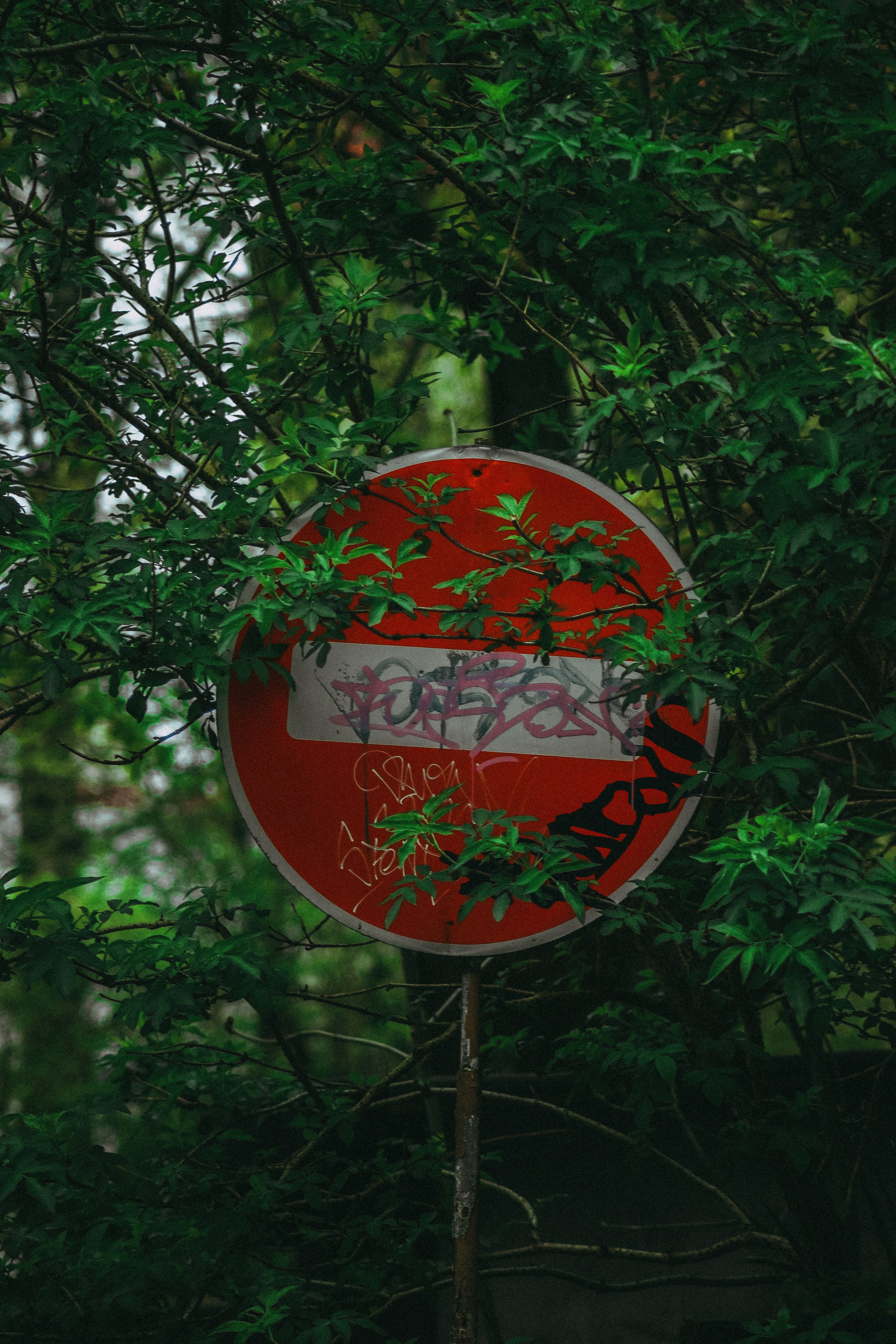 Т Е П Л Ы Й — З Е Л Е Н Ы Й. — Digital Noise —