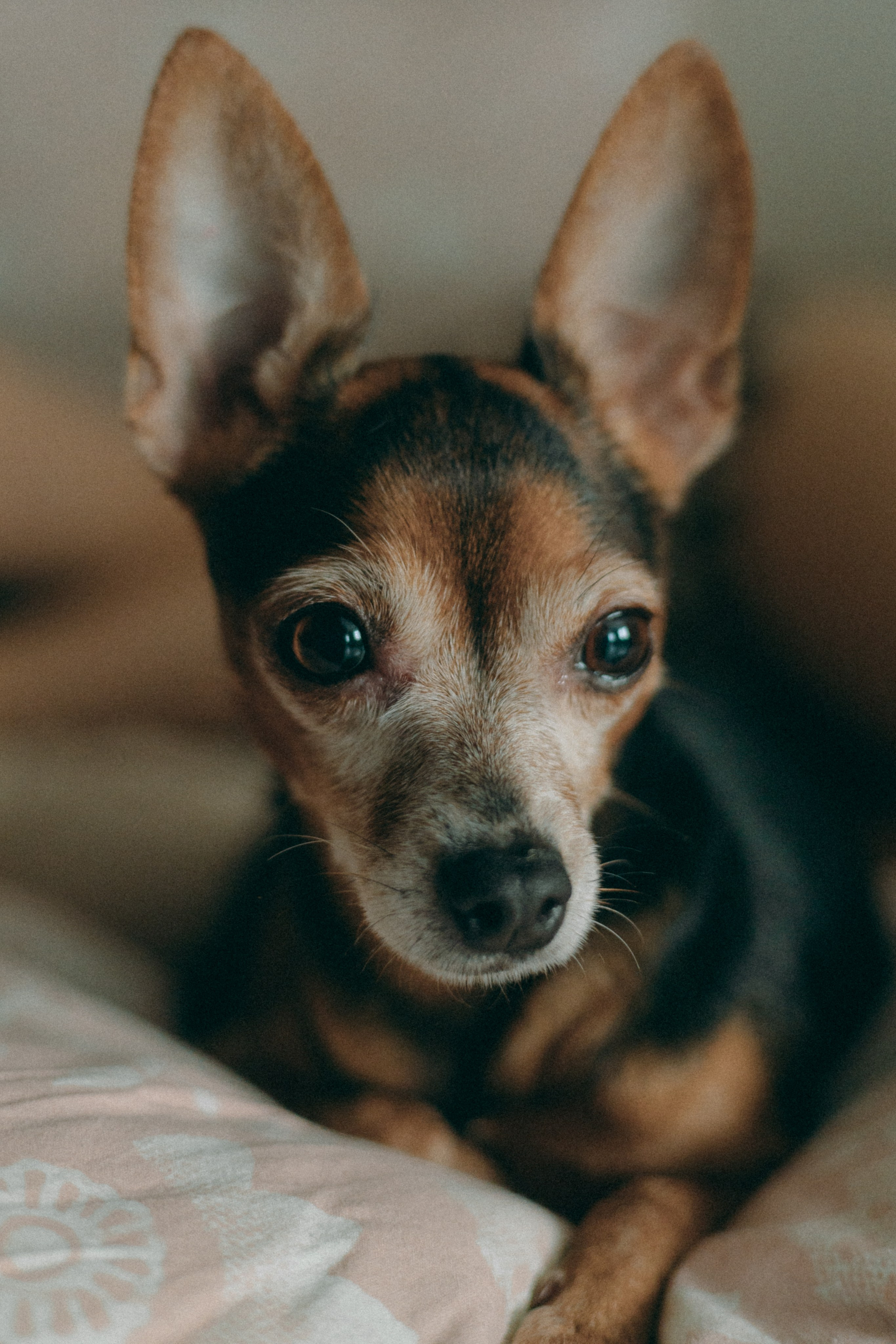 Дома. Фотограф в Санкт-Петербурге Виктория Безверхая