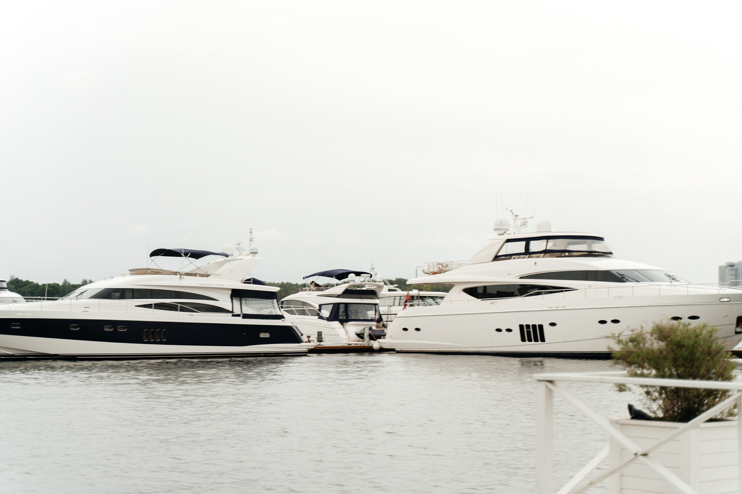 Саша и Миломира. Павел Мерк. Стильная свадебная фотография