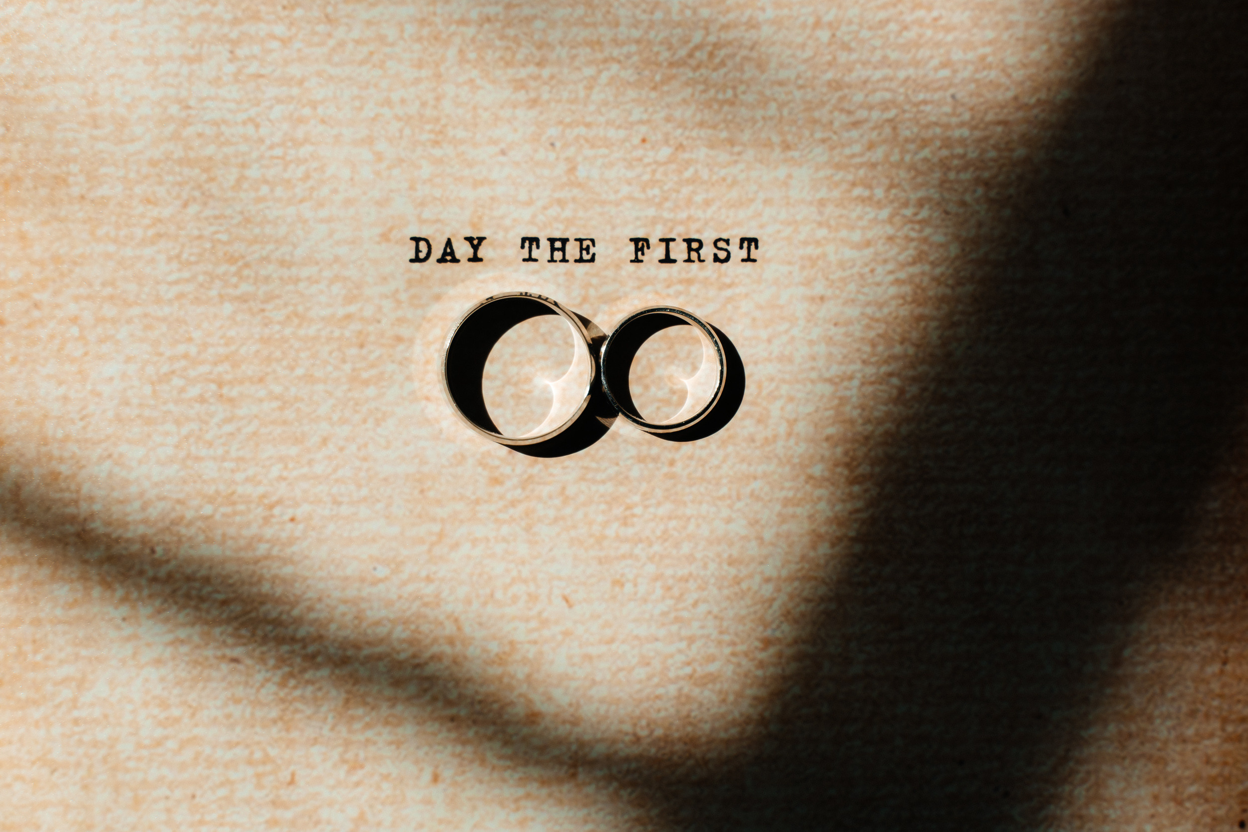 Дмитрий и Светлана. Павел Мерк. Стильная свадебная фотография