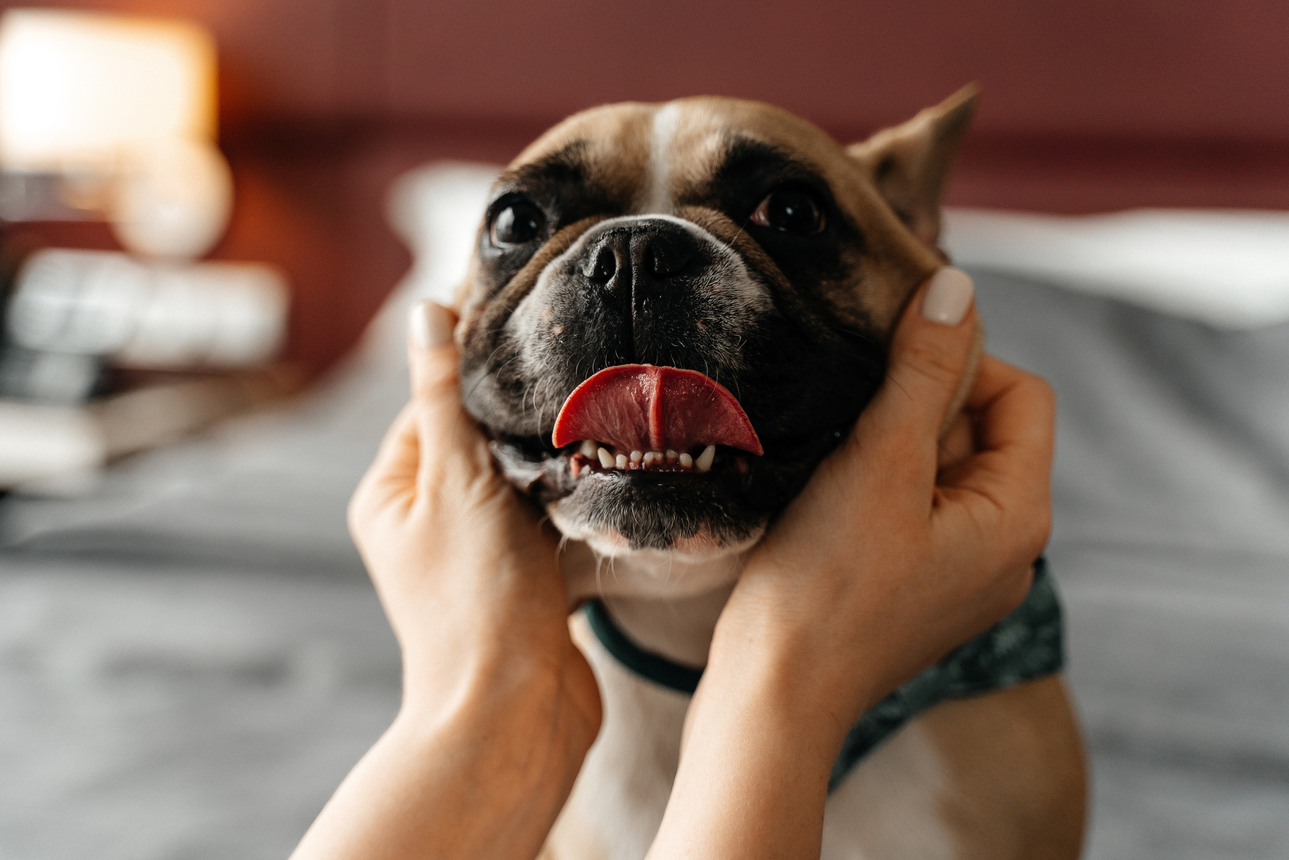 Сеня и Софа. Павел Мерк. Стильная свадебная фотография