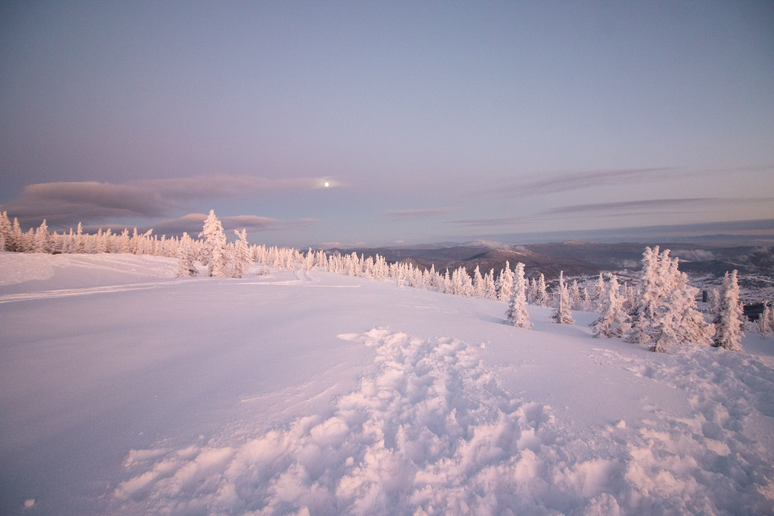 Татьяна и Иван. Свадебный и семейный фотограф в Новокузнецке Иван Иванов