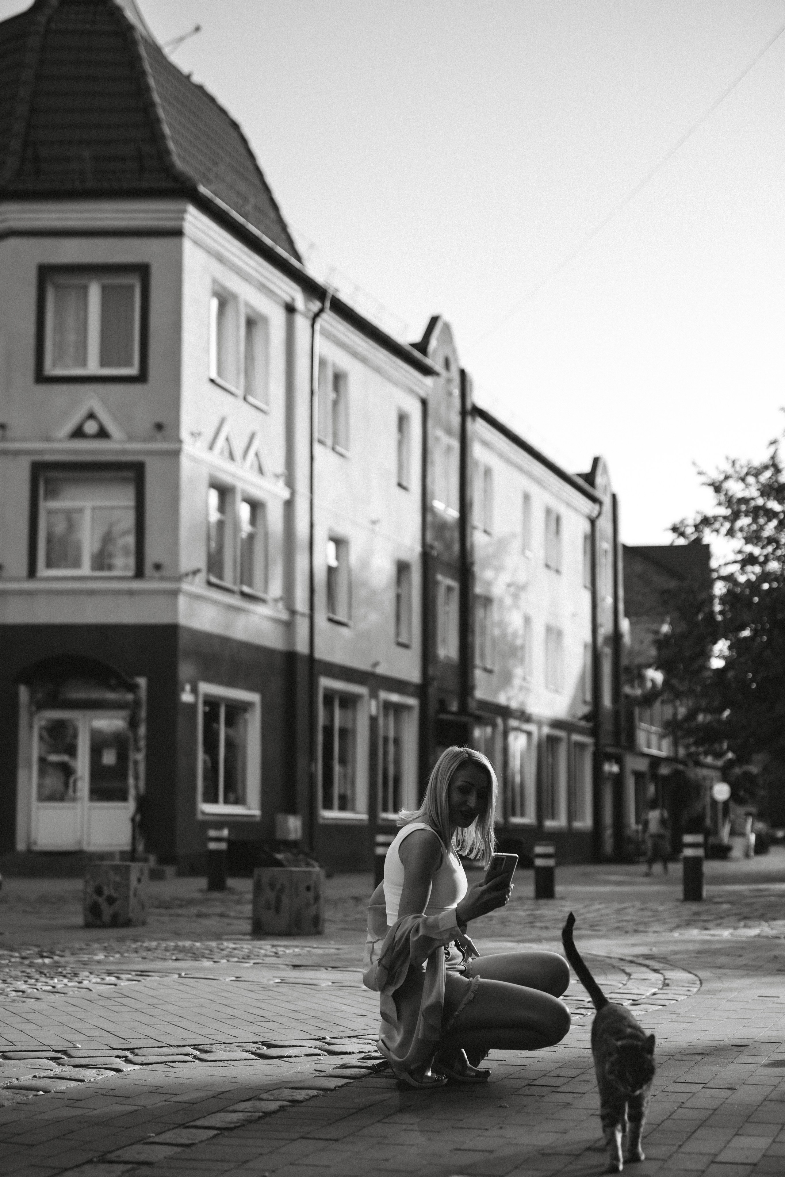 Коты Зеленоградска. Фотограф Зеленоградск Красильникова Елена