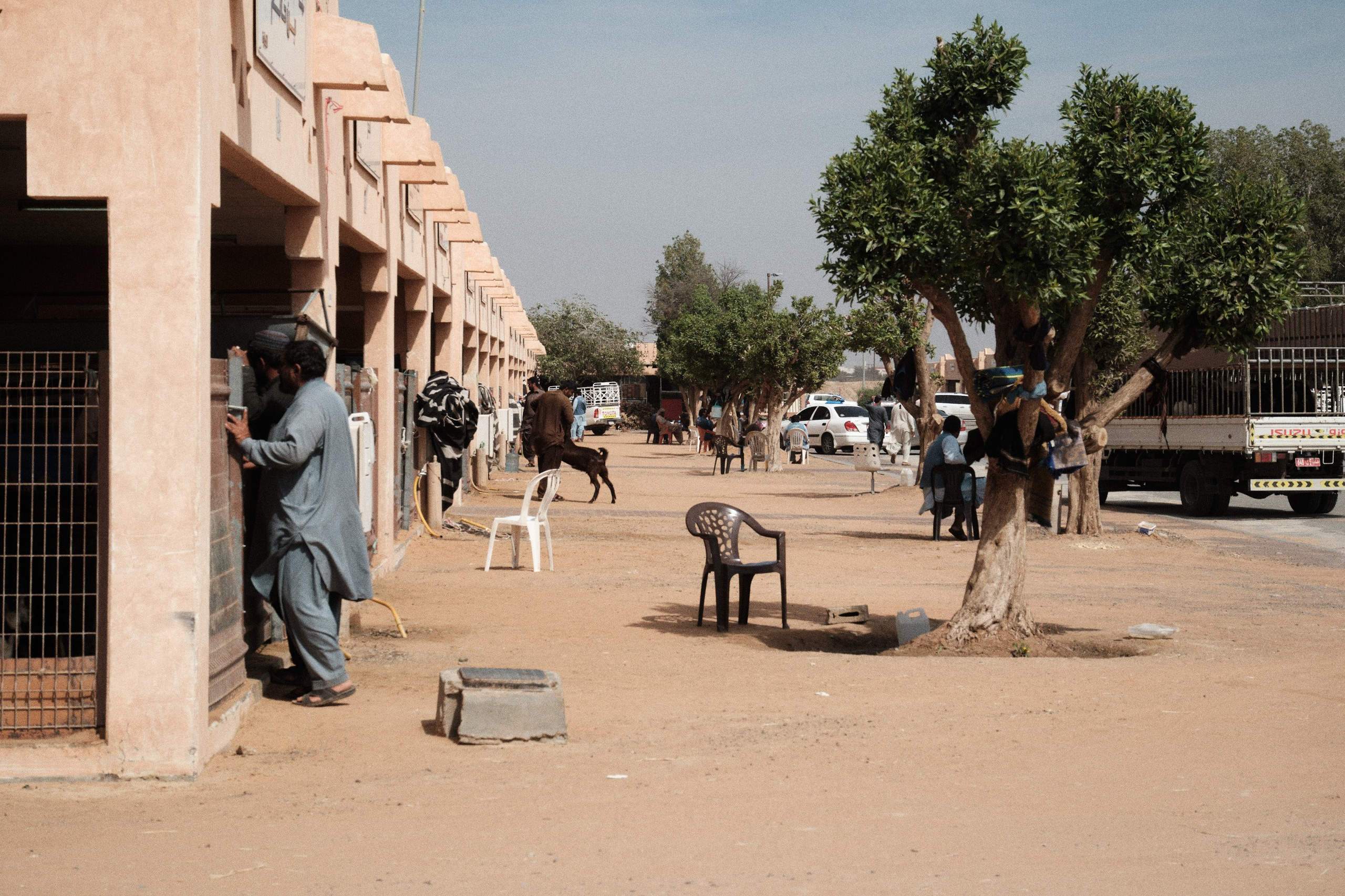 Оман. ОАЭ. Катар. Бахрейн. Юрий Березнюк. Фотожурналистика