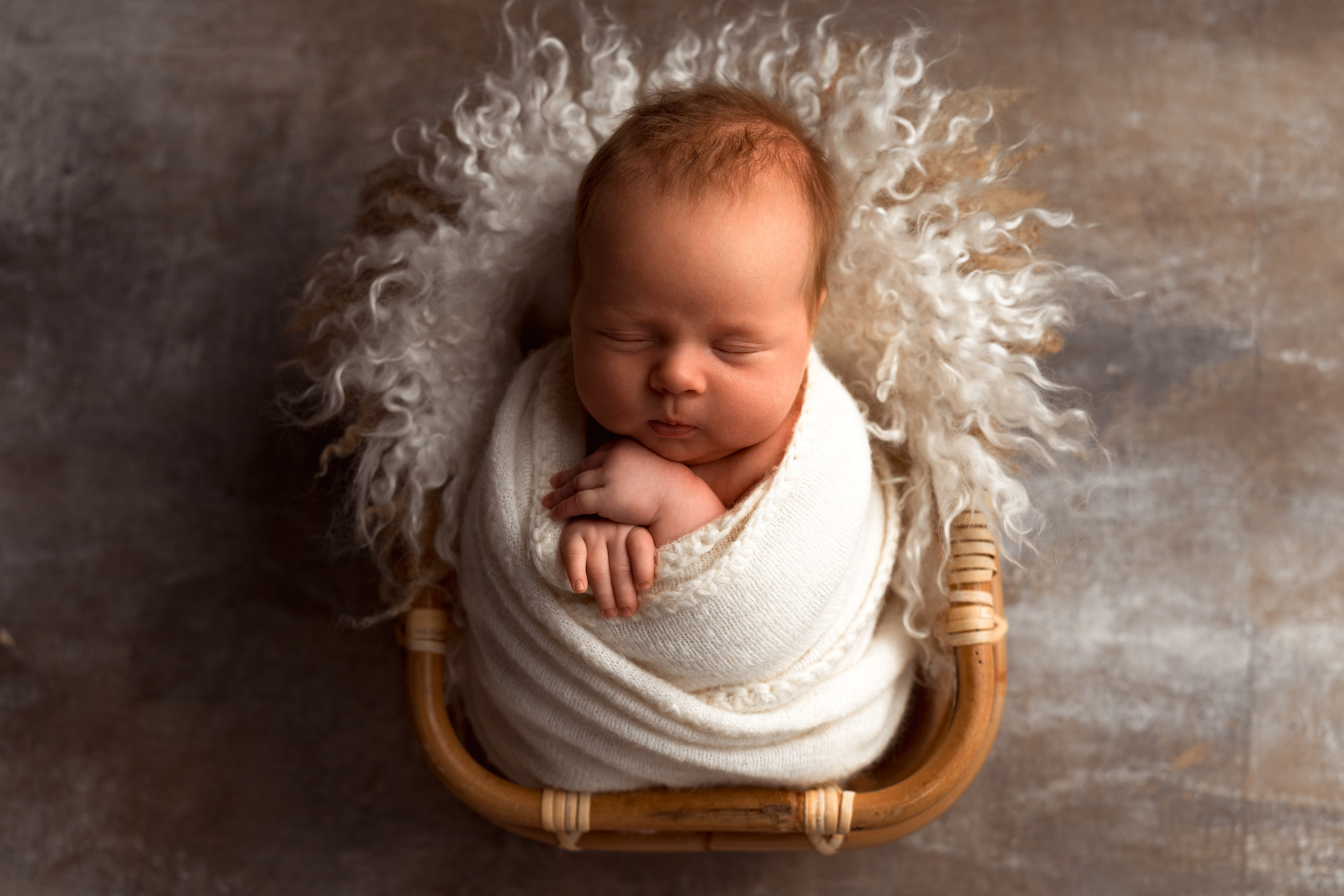 Лёвушка. Анастасия Чиркова, Фотограф Москва