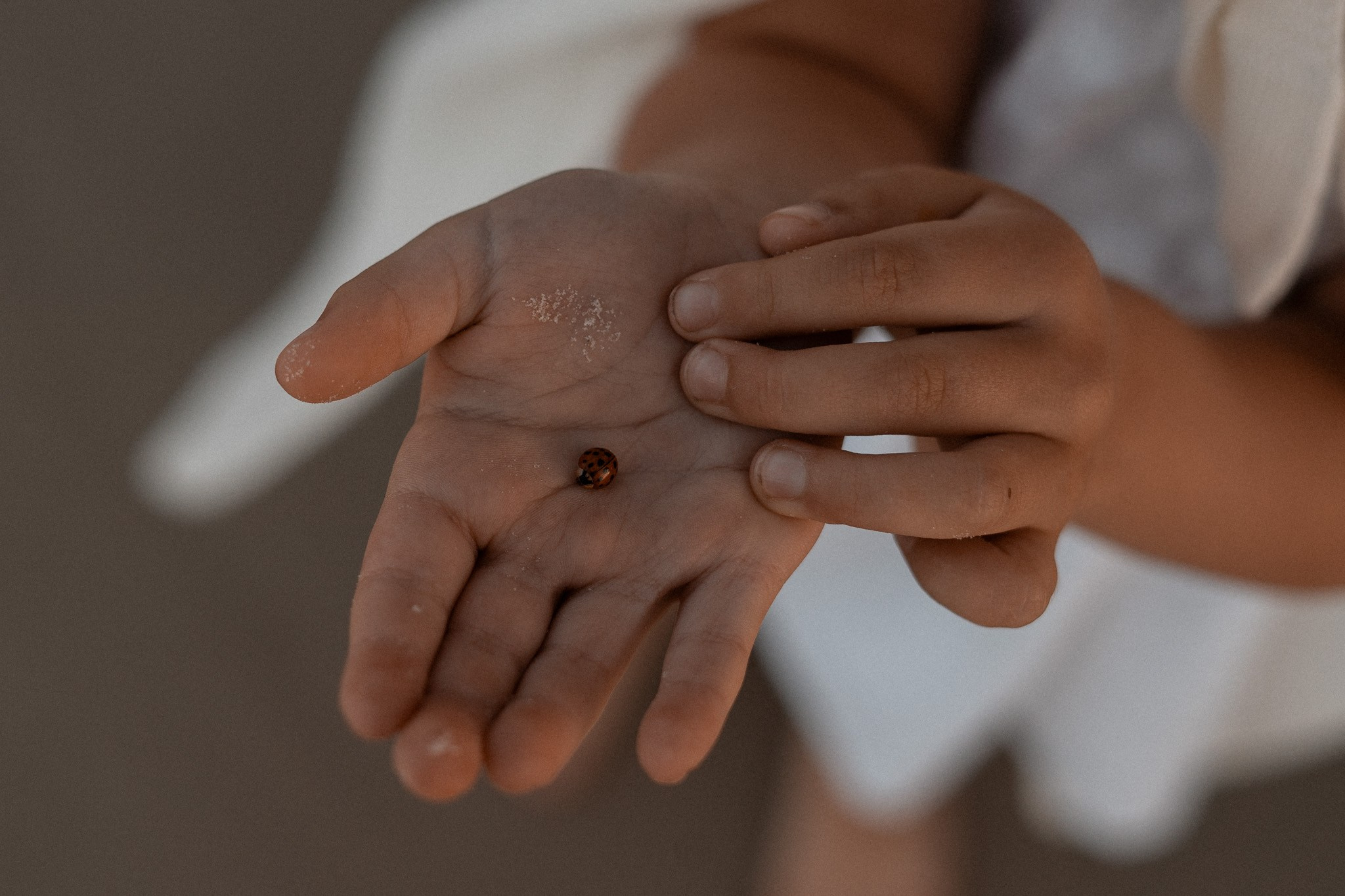 Морская прогулка на закате. Русский фотограф во Флорианополисе | Лена Муни | Беременность, новорожденные, семья