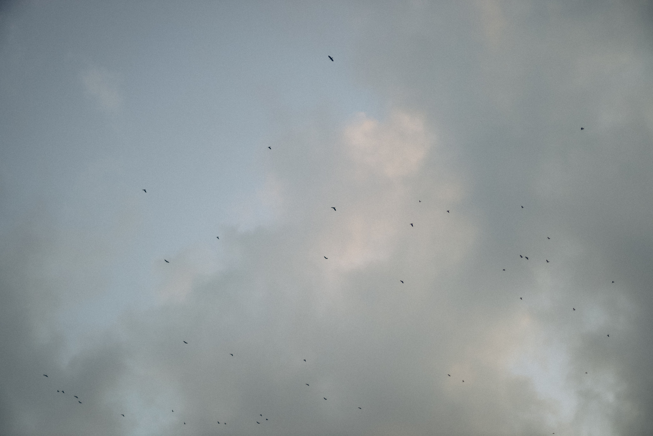 Мария, Данир, Тимур и Михаил. Семейный фотограф Анапа