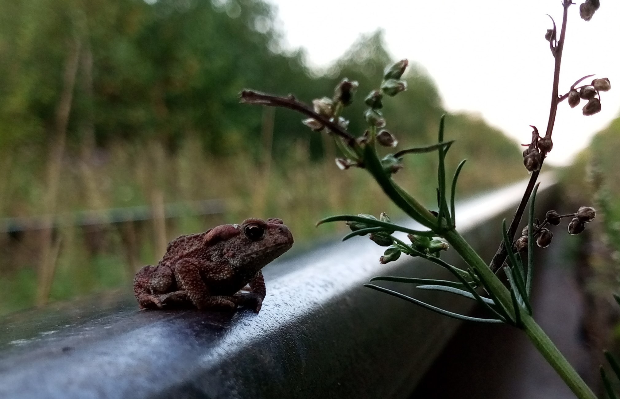 Портфолио. Фотограф в Москве Александра