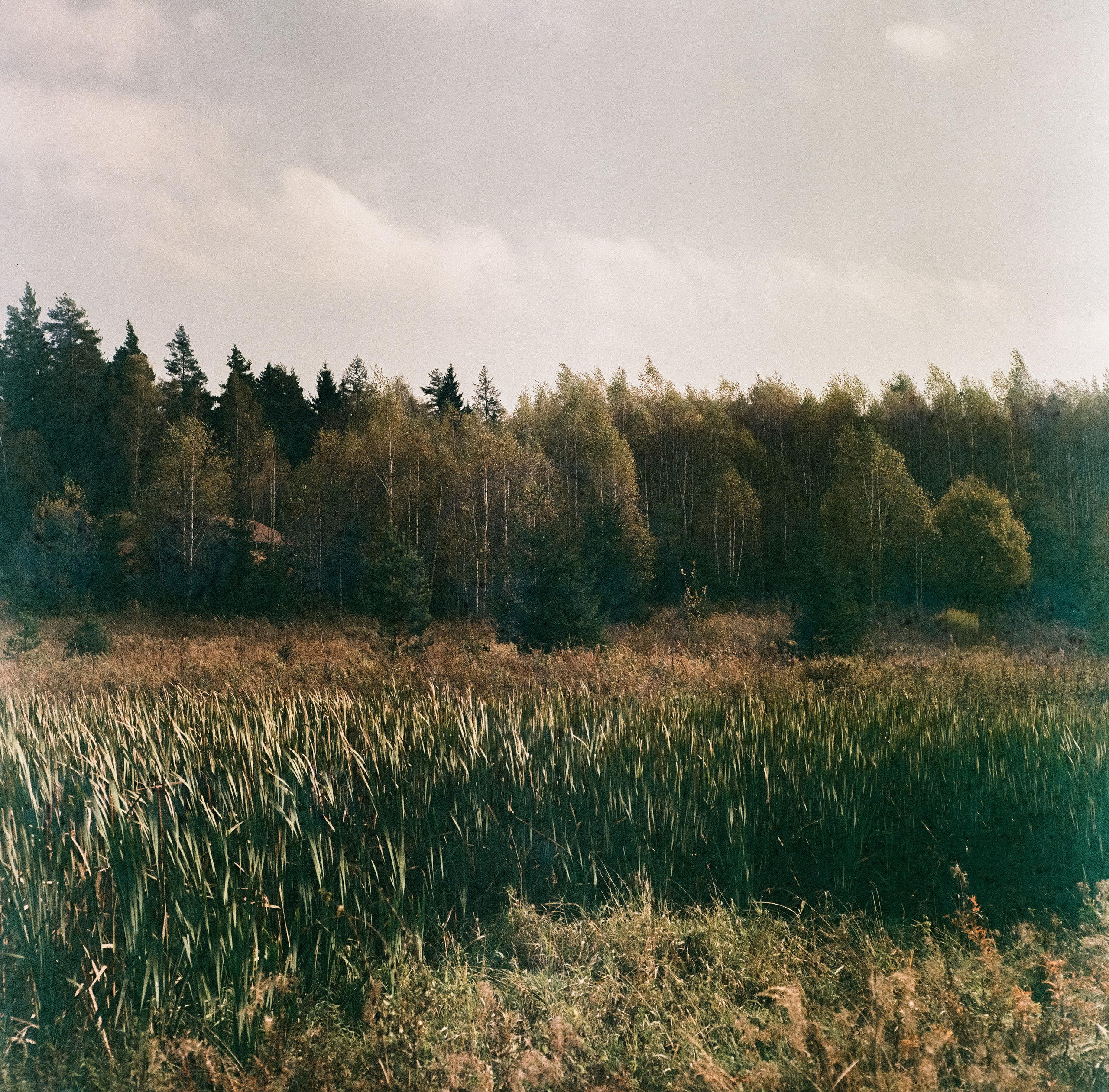 Kowa Six с объективом Kowa 85 mm f/2.8 / Fujicolor Super HR 100