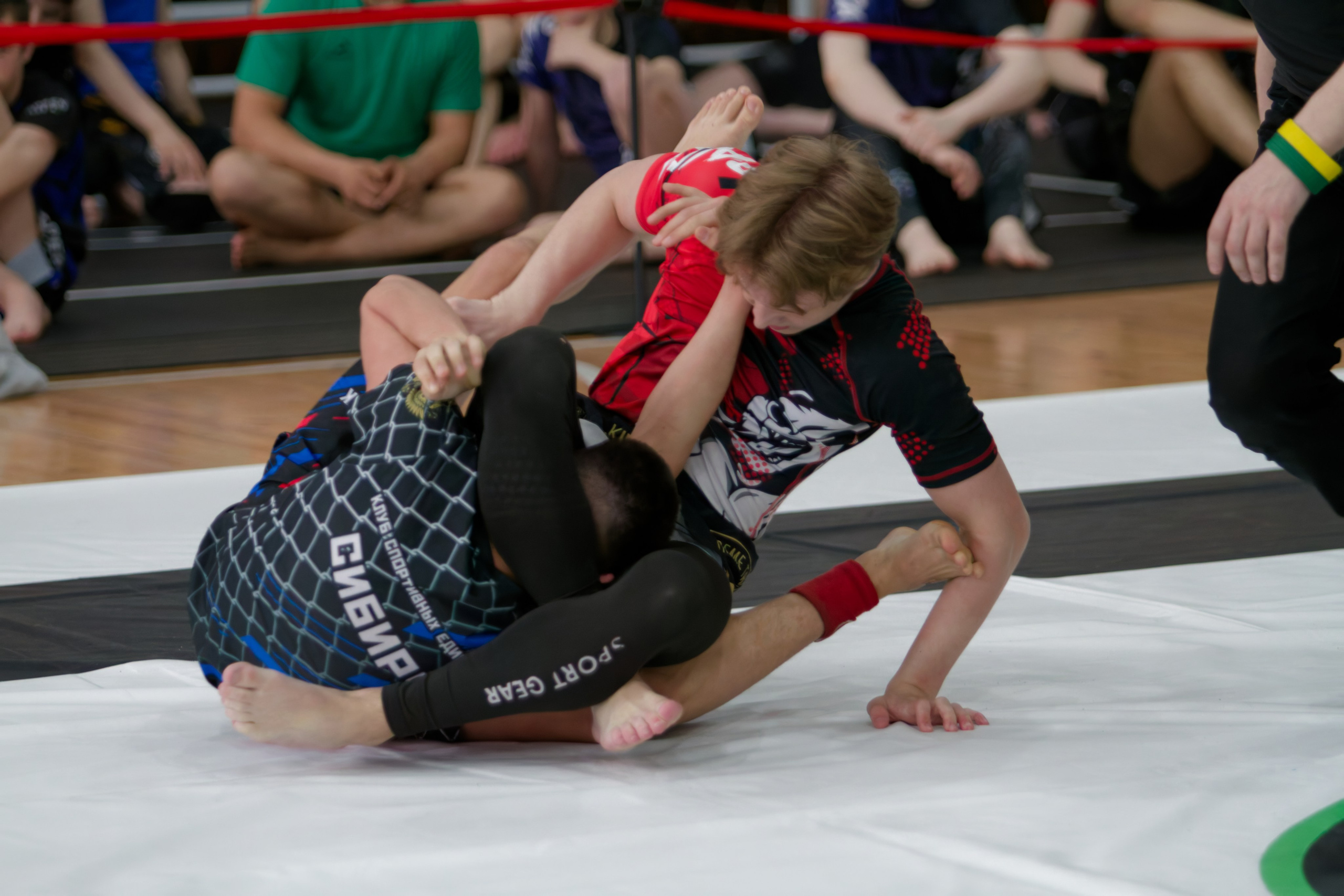 Борьба. Джиу-джитсу 26.04.2025. Репортажный и спортивный фотограф в г. Пермь Зильберг Павел