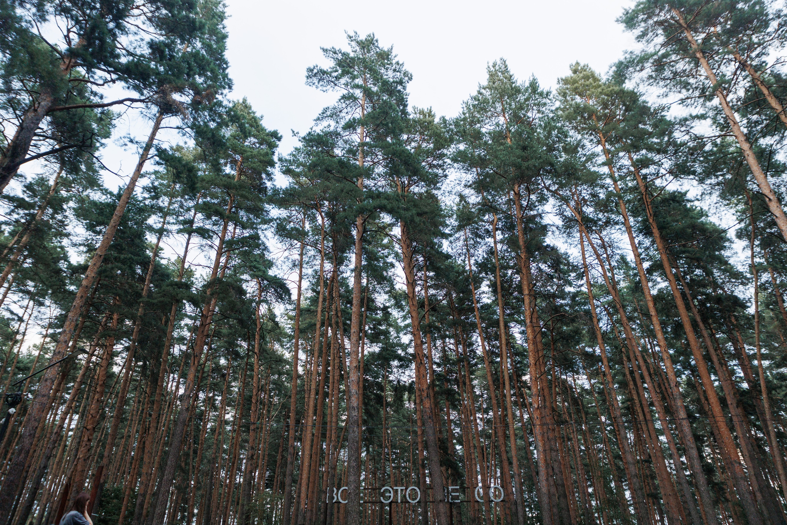 ПечаКуча 12-8-25. Фотограф городских и семейных событий Артем Карпухин
