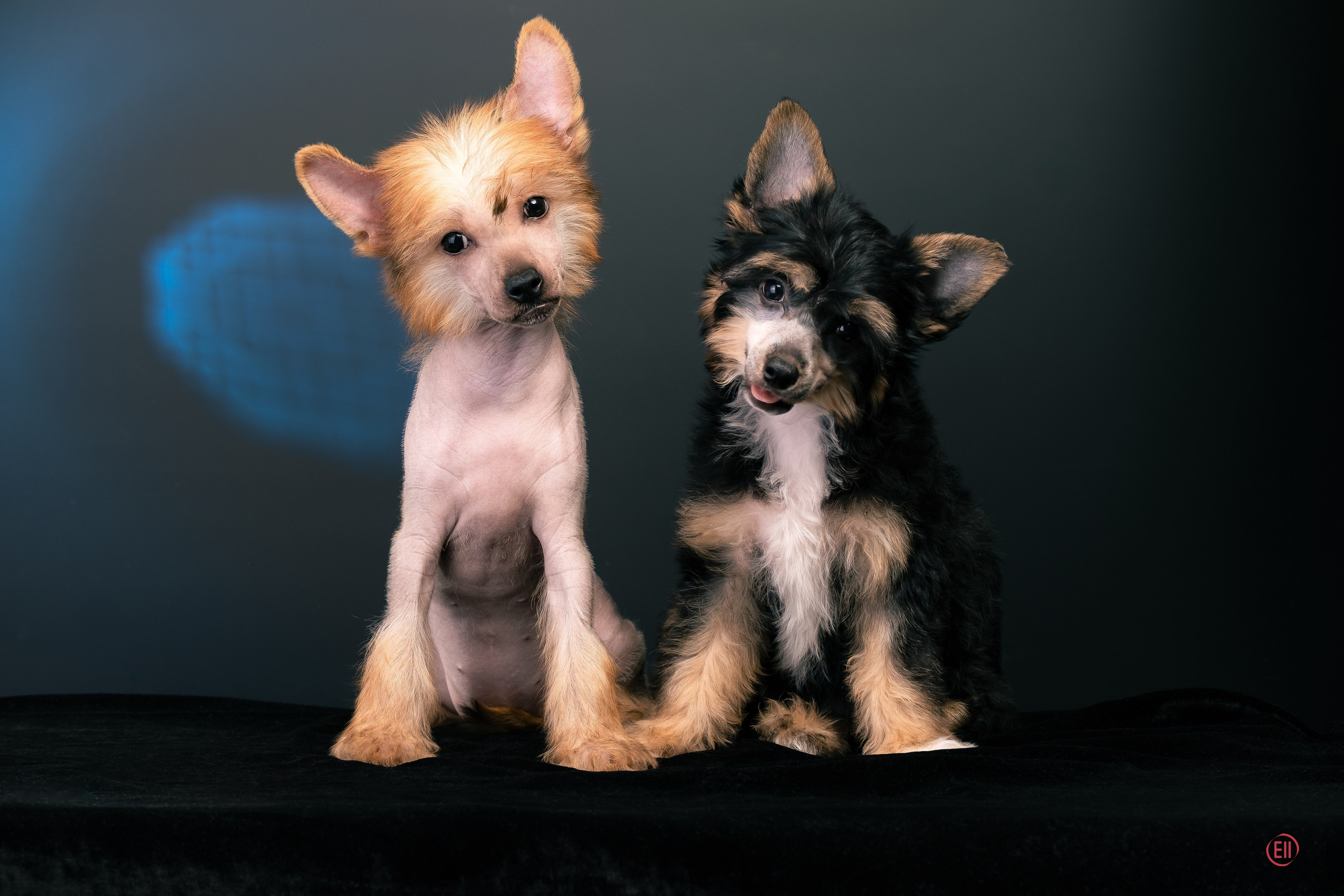 07.06.2025 Синяя фотосессия. Фотограф в Москве