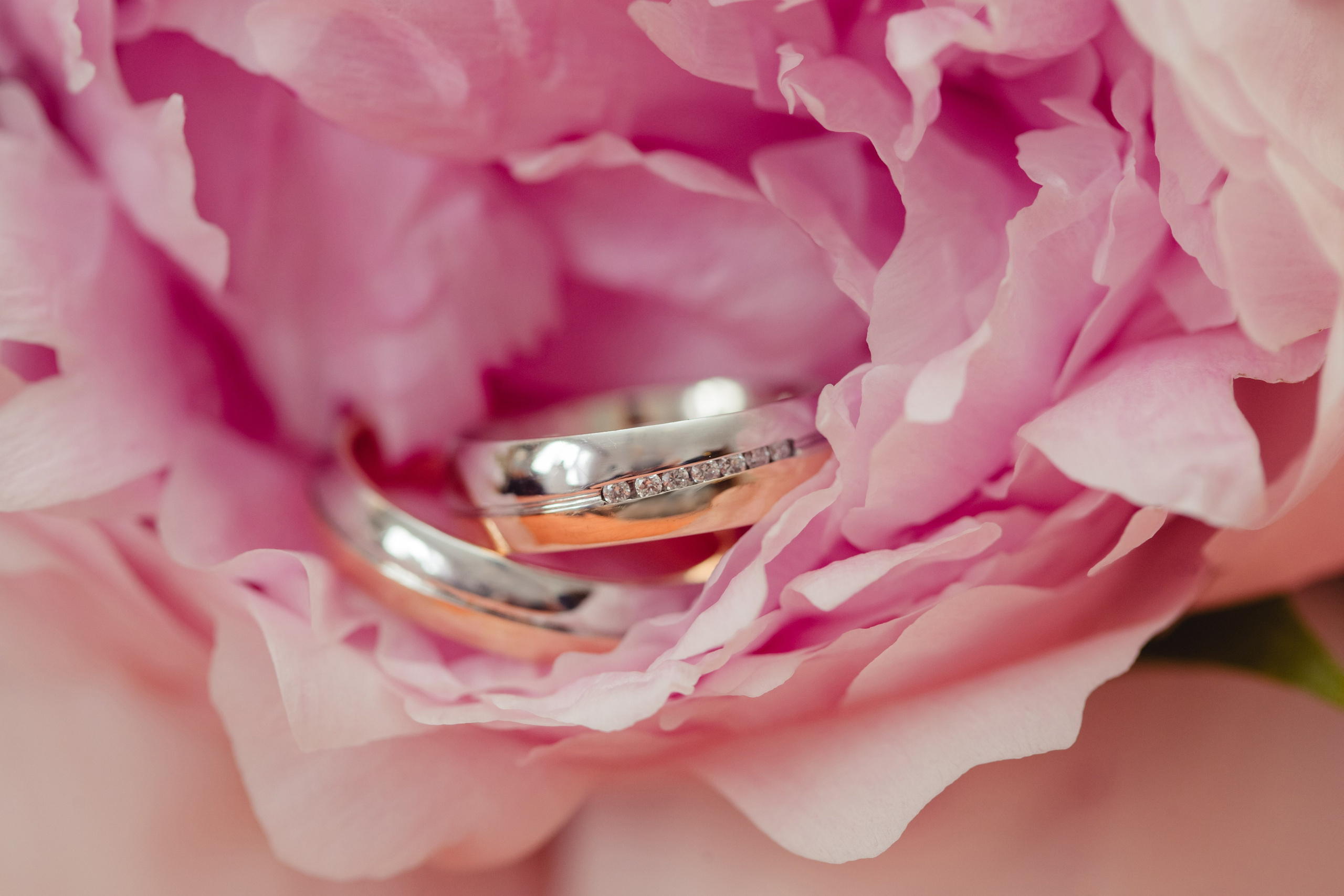 Олеся и Максим. Свадебный фотограф в Москве Екатерина Огарская