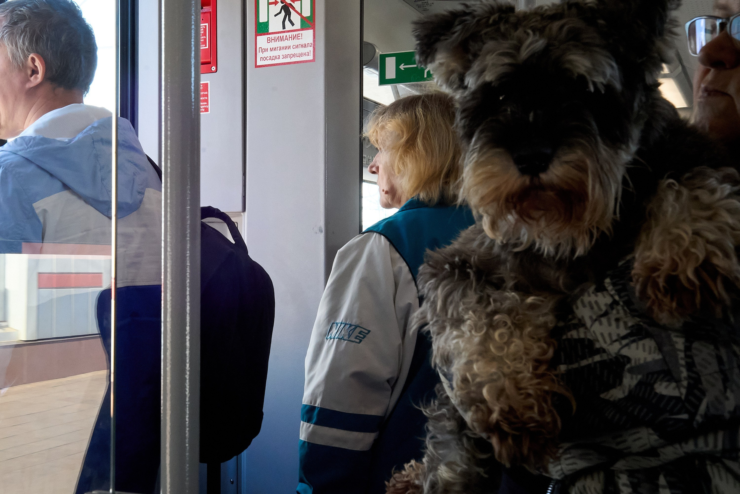 Москва. Фотограф и оператор мероприятий, концертов и портретов в городе Москва
