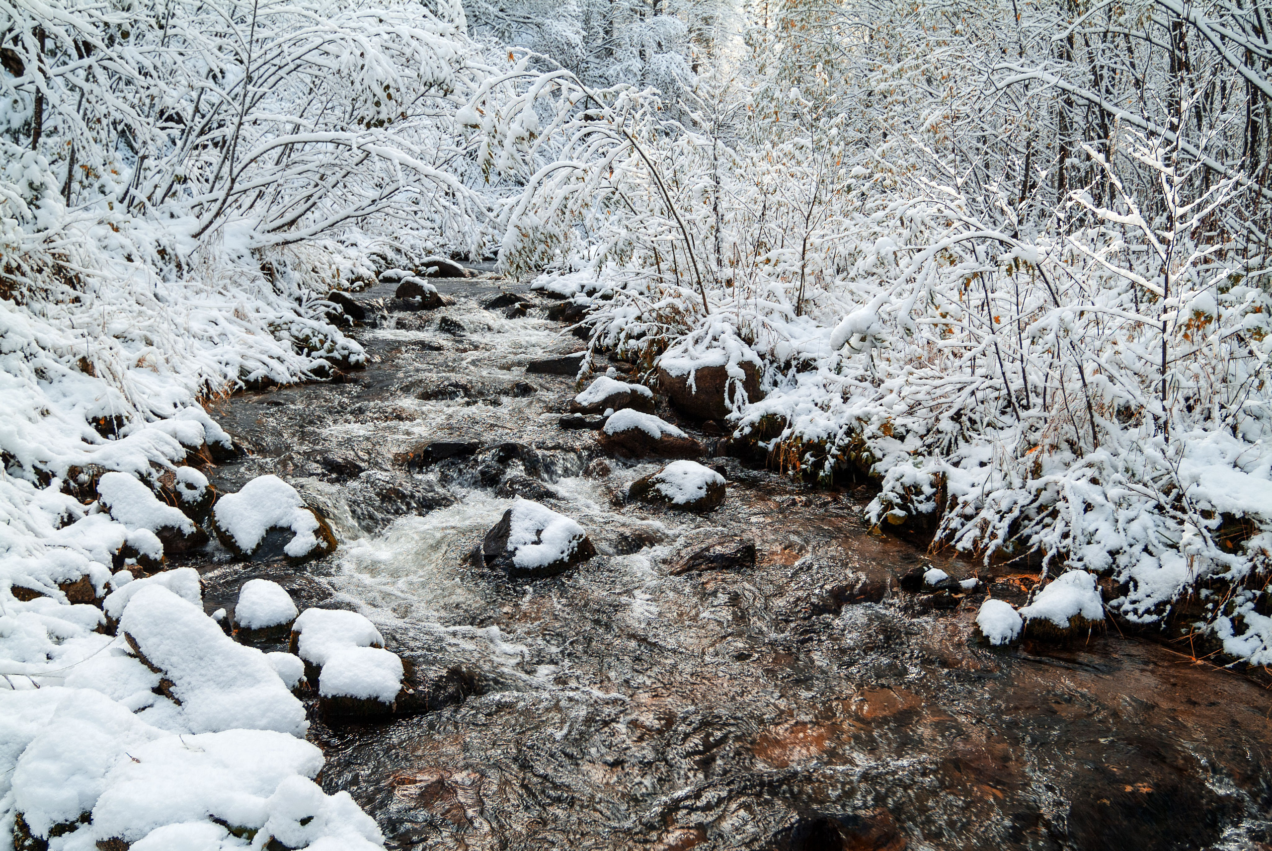 Свадебный фотограф в Геленджике