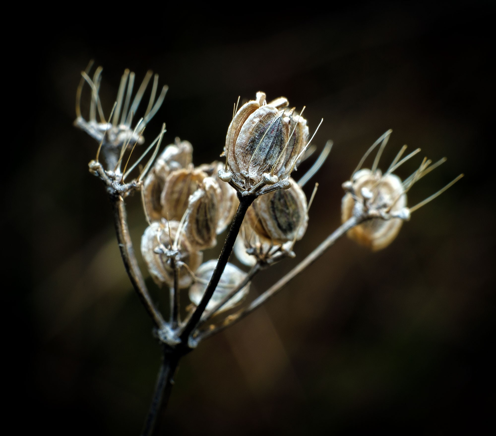 фотограф в Геленджике, фотограф Геленджик