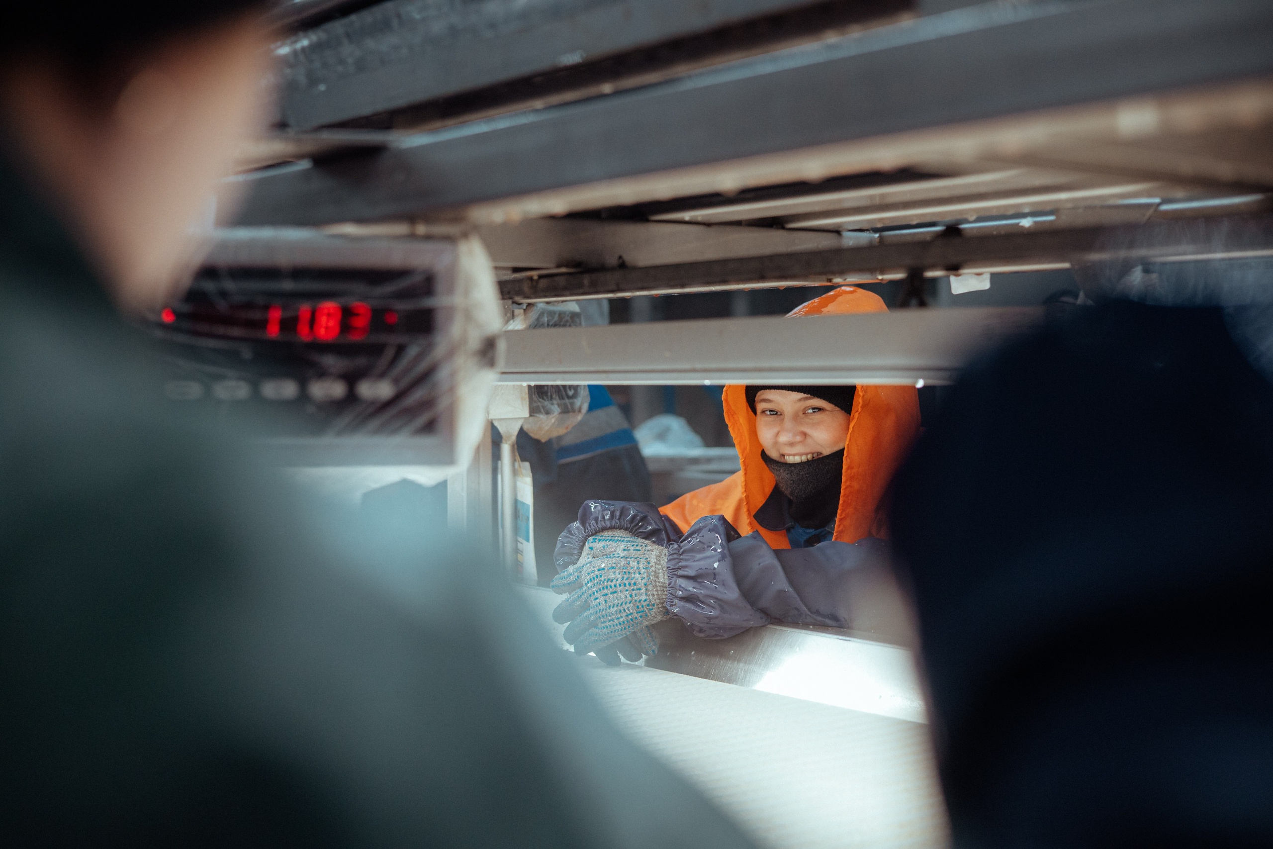 Ооо «лойд-фиш» | камчатка-2025