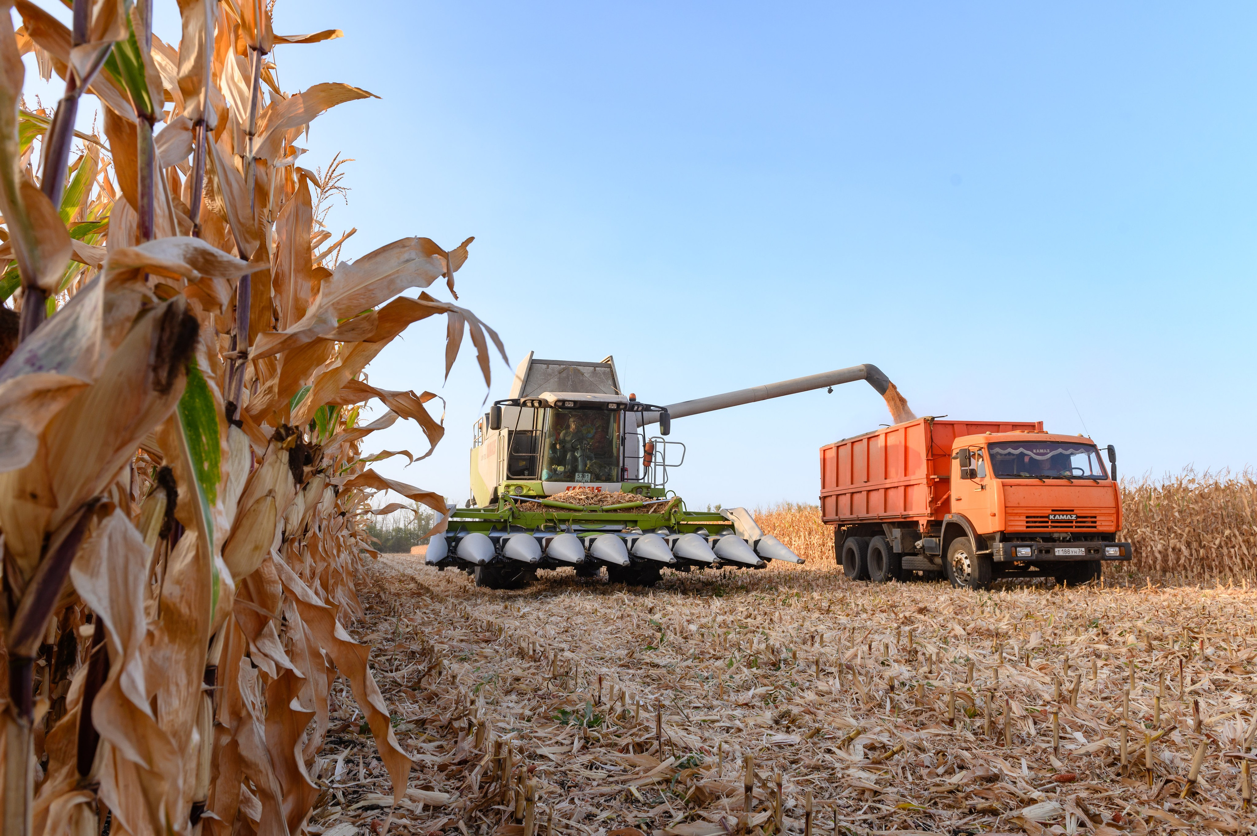 Проекты. Профессиональный фотограф Вячеслав Плацында | Липецк |