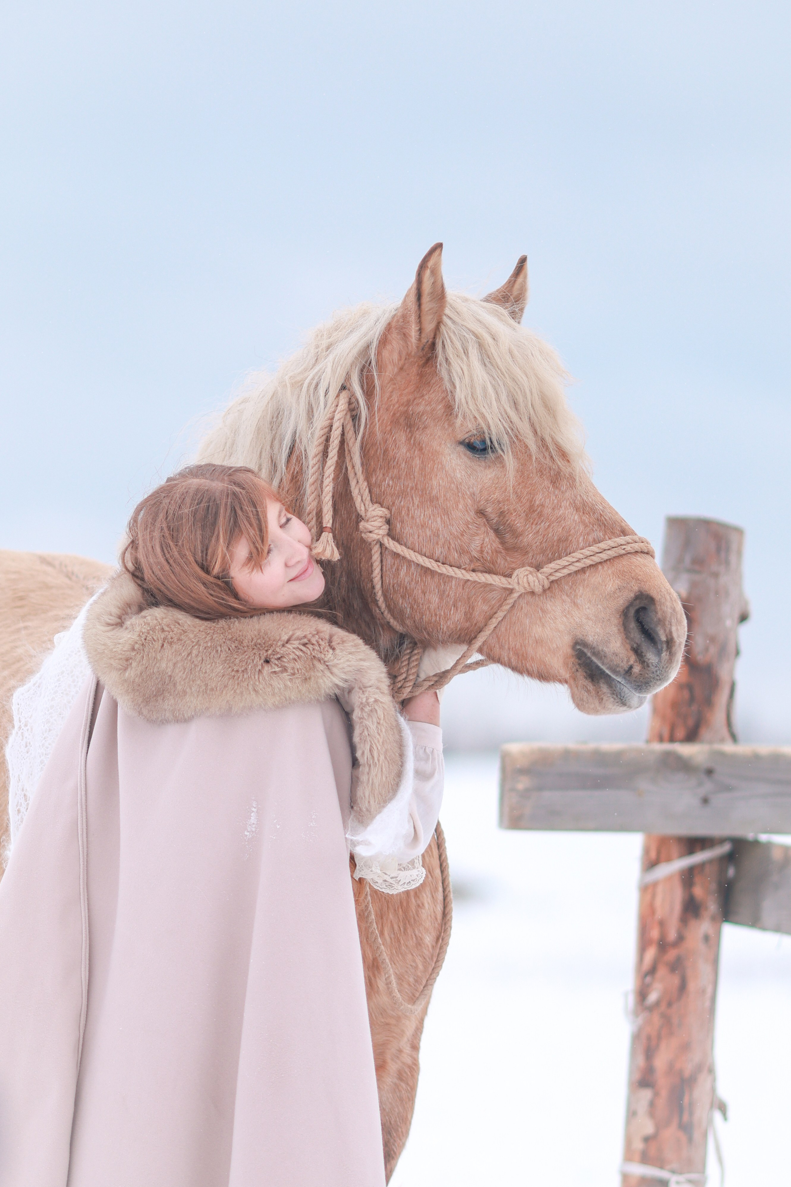 Фотосессии с лошадьми