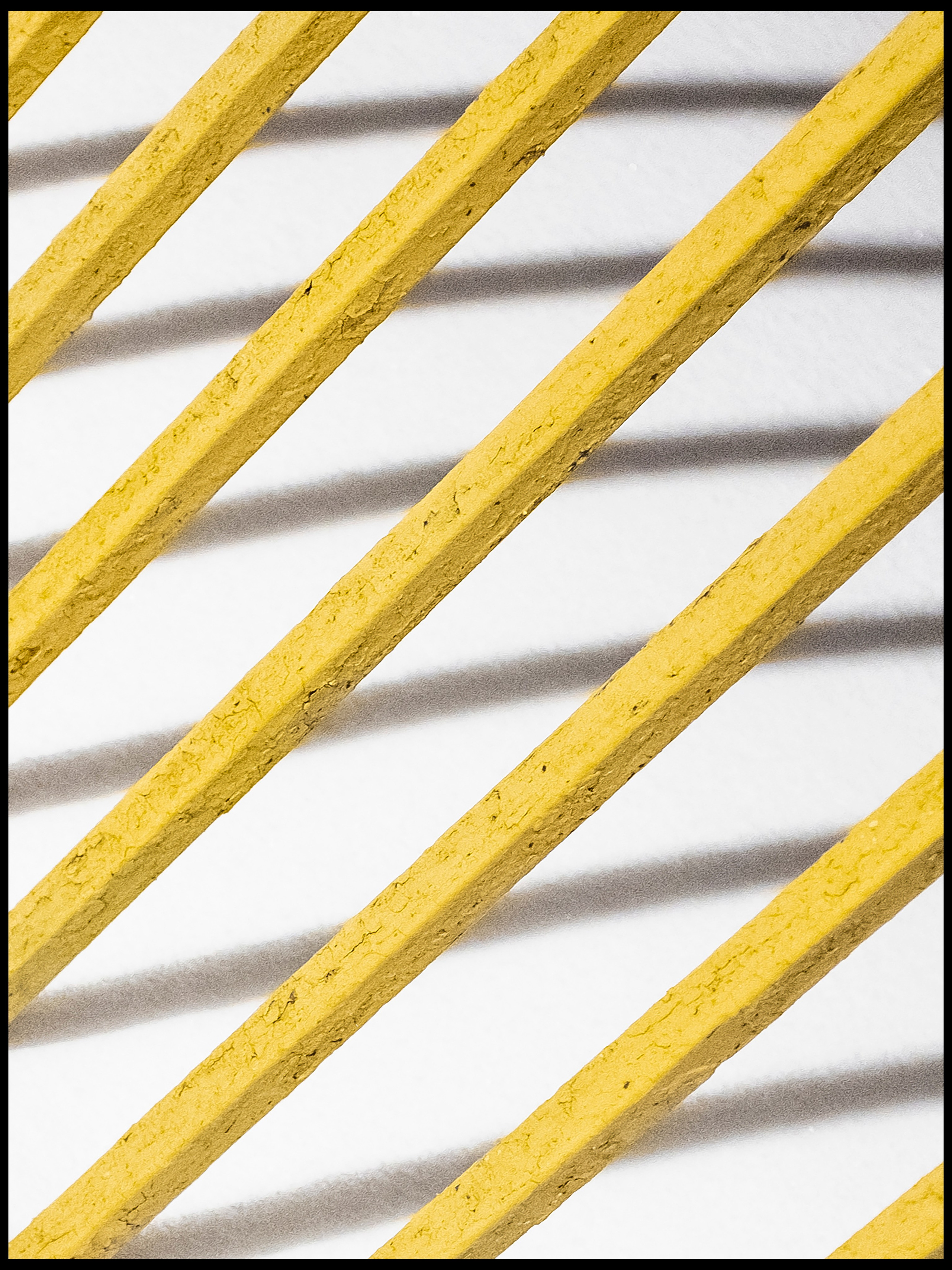 RODINA. Ivan Petrov photographer