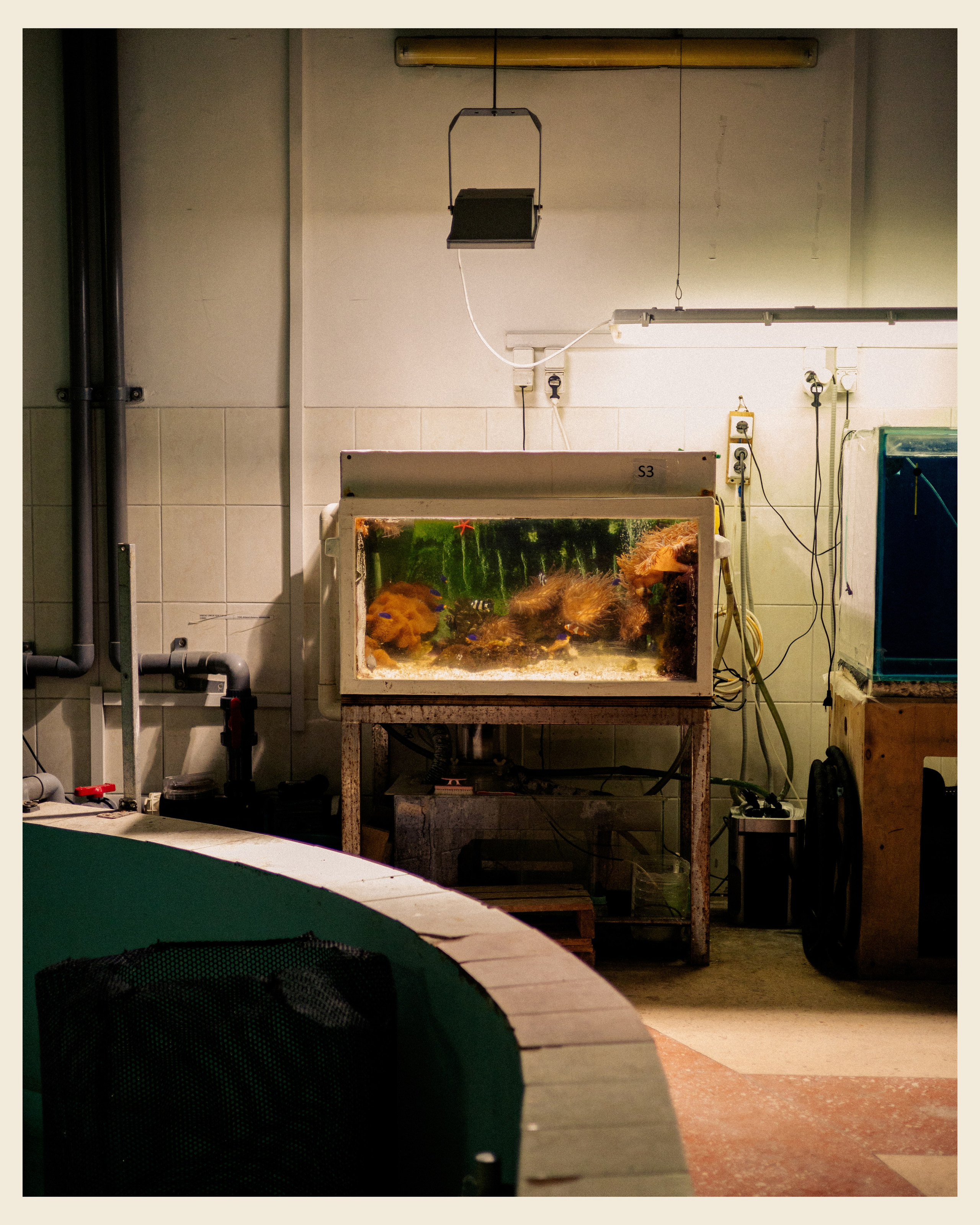 AILAND x VANO. Ivan Petrov photographer