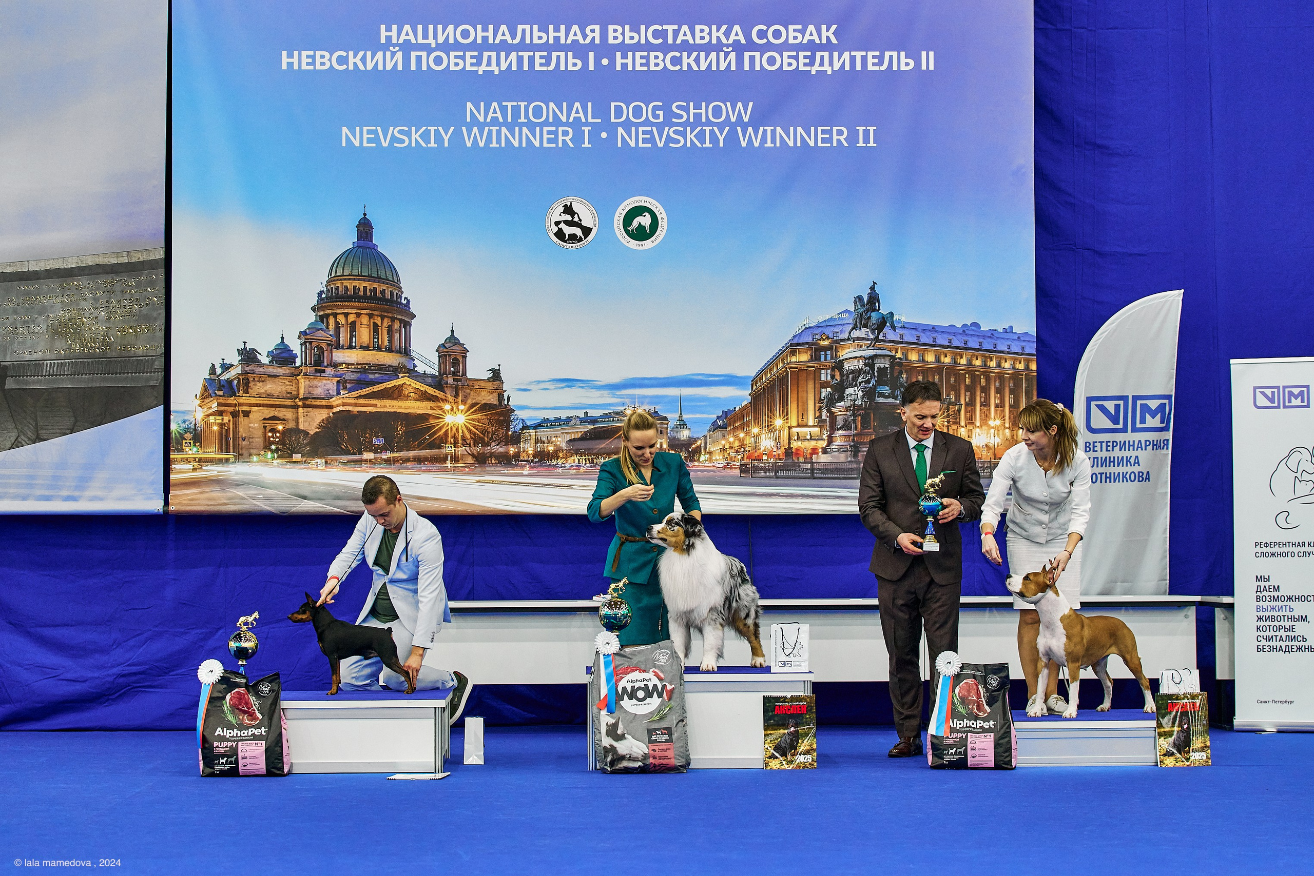 РЕЙТИНГОВАЯ ВЫСТАВКА СОБАК ВСЕХ ПОРОД С ОСОБЫМ СТАТУСОМ"НЕВСКИЙ ПОБЕДИТЕЛЬ-2024-2"