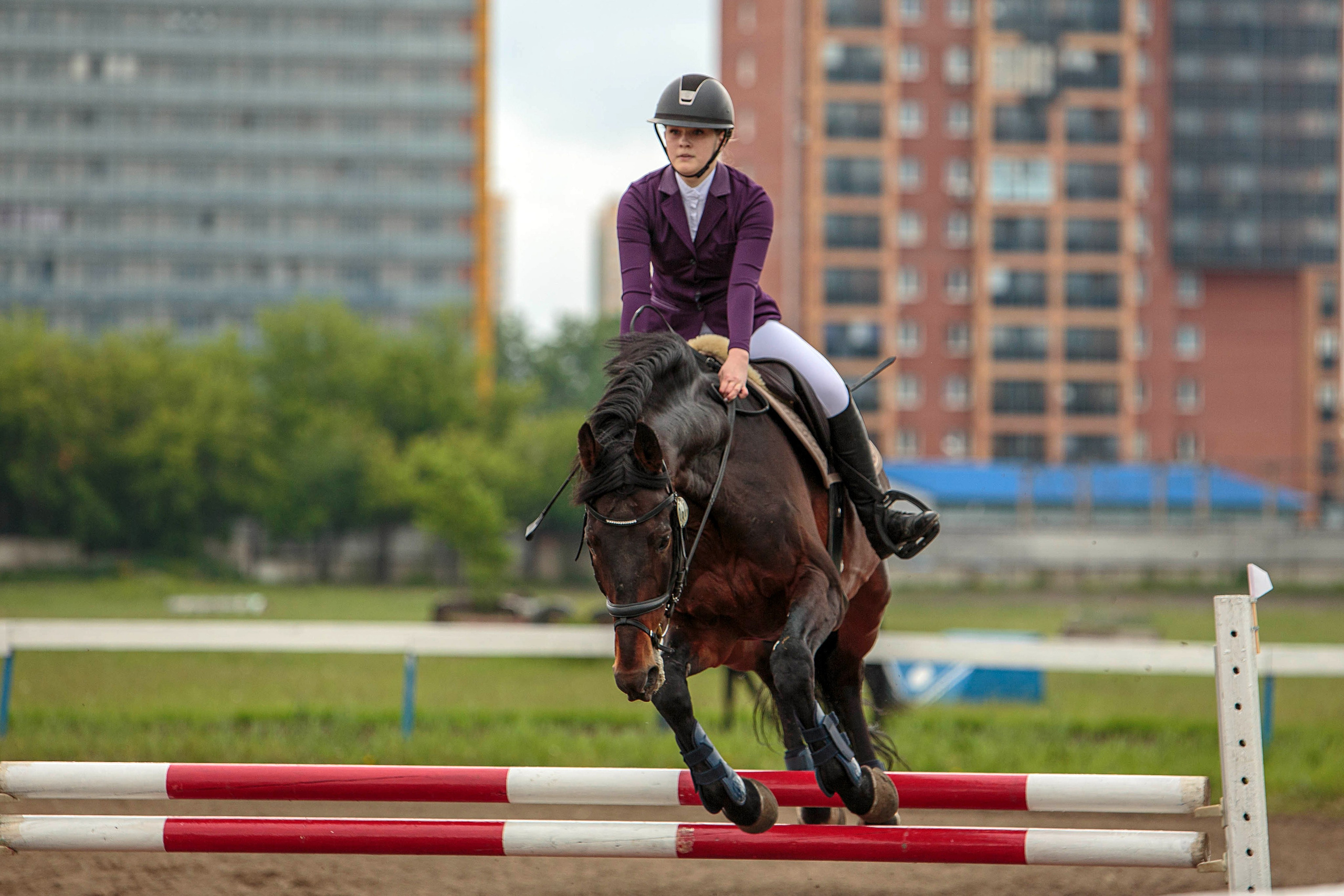2024. Конный фотограф в Красноярске — Любовь Похабова
