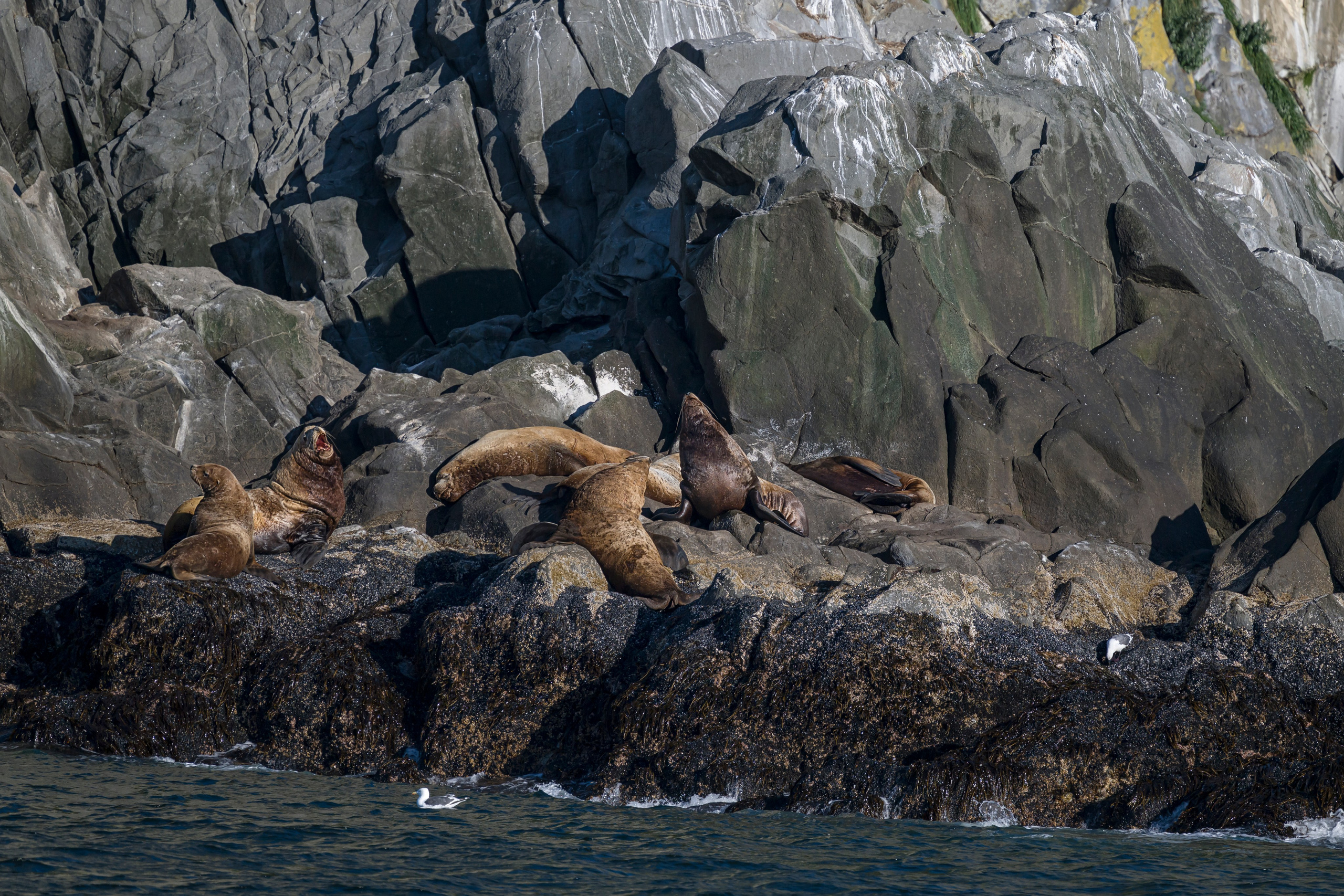 Камчатка. Портретный фотограф в Челябинске Катерина Руди
