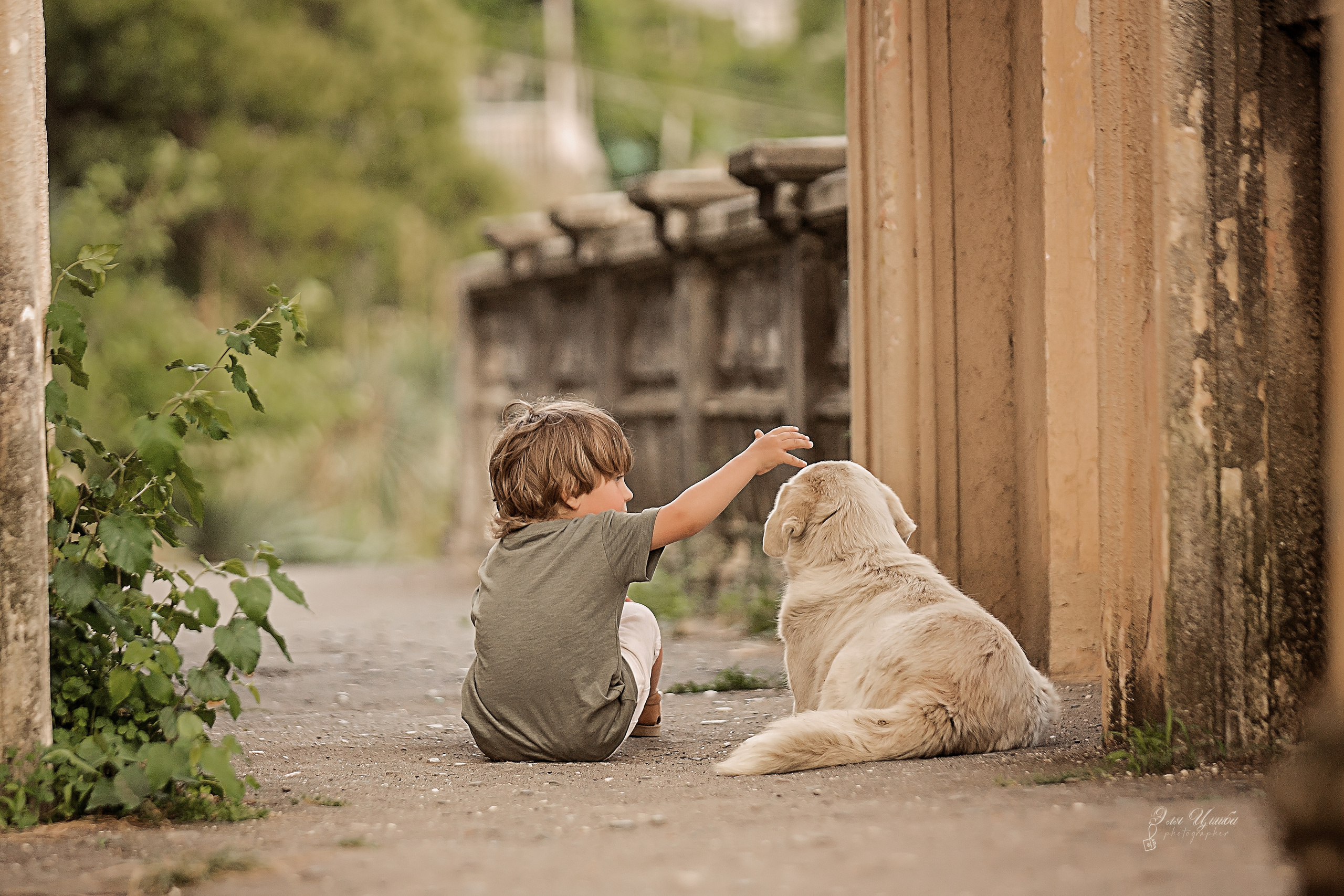 Сухумская гора. Свадебный и семейный фотограф в Абхазии Эля Цишба