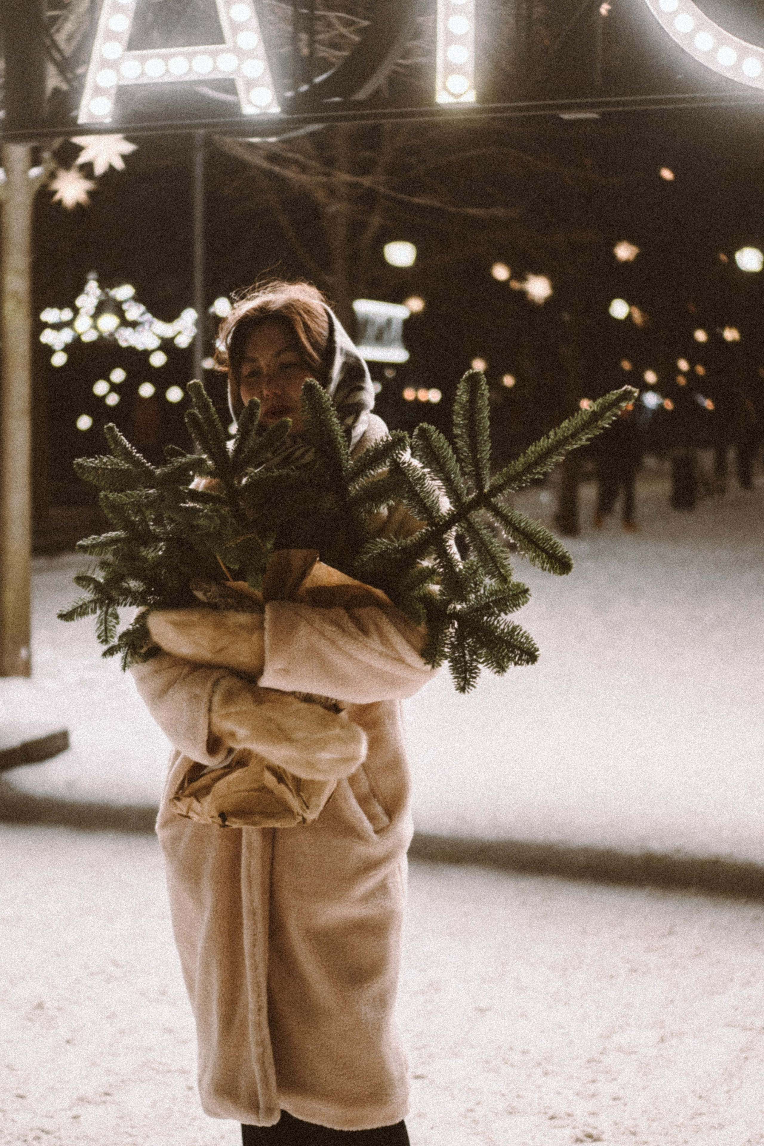 Зимняя сказка в Новой Голандии. Профессиональный фотограф, Санкт-Петербург — Виктория Богомолова