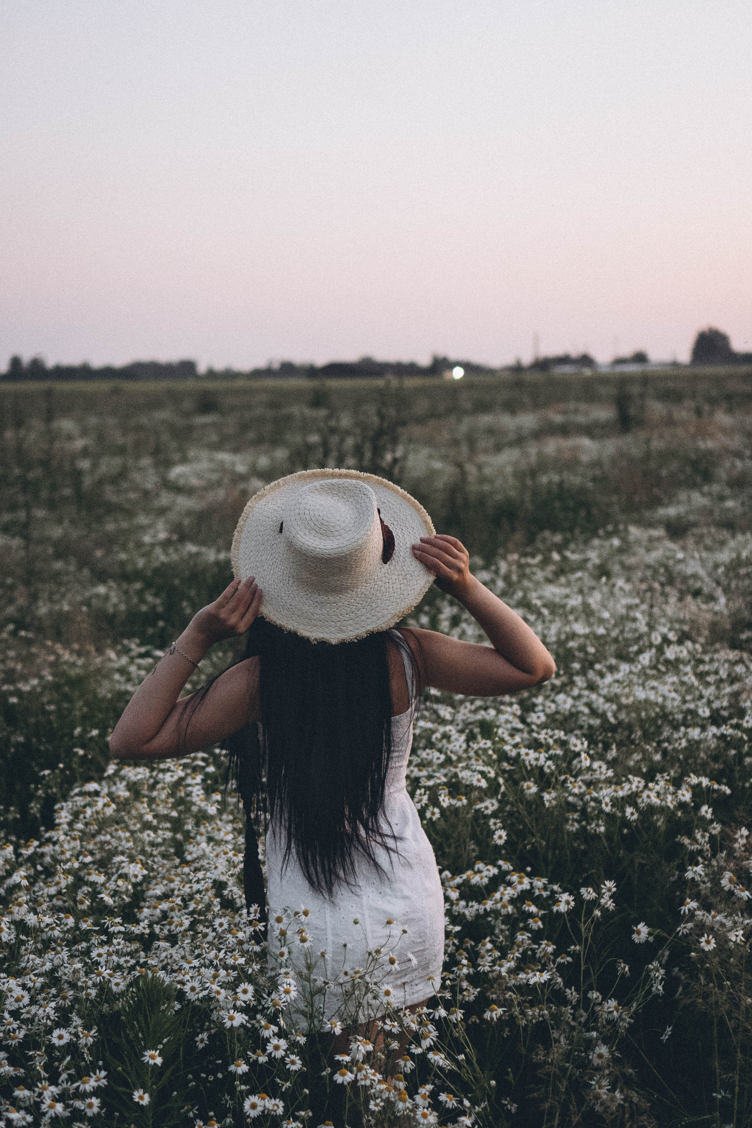 Ромашковое поле. Профессиональный фотограф, Санкт-Петербург — Виктория Богомолова