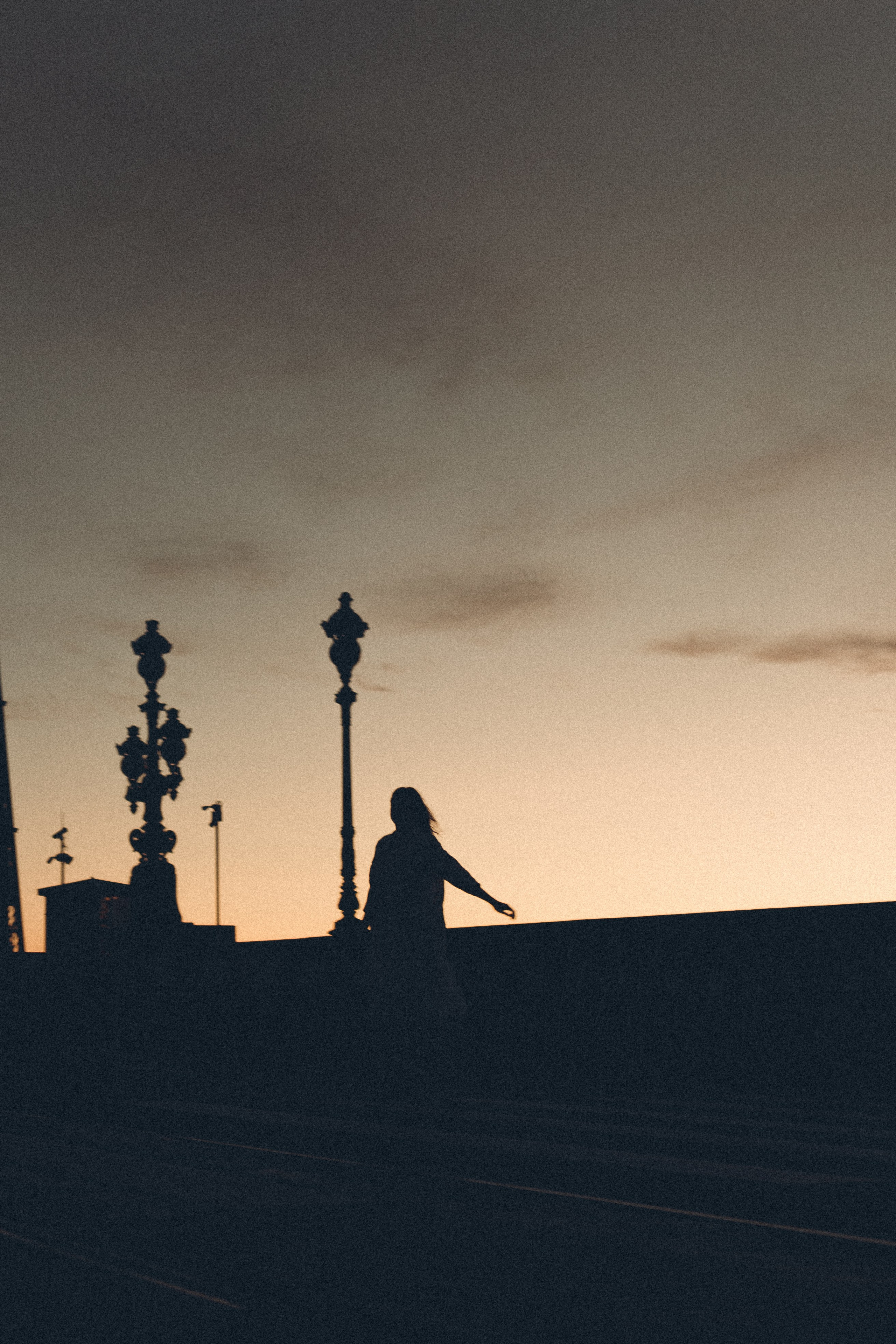 РАССВЕТ С РАЗВОДНЫМИ МОСТАМИ. Профессиональный фотограф, Санкт-Петербург — Виктория Богомолова