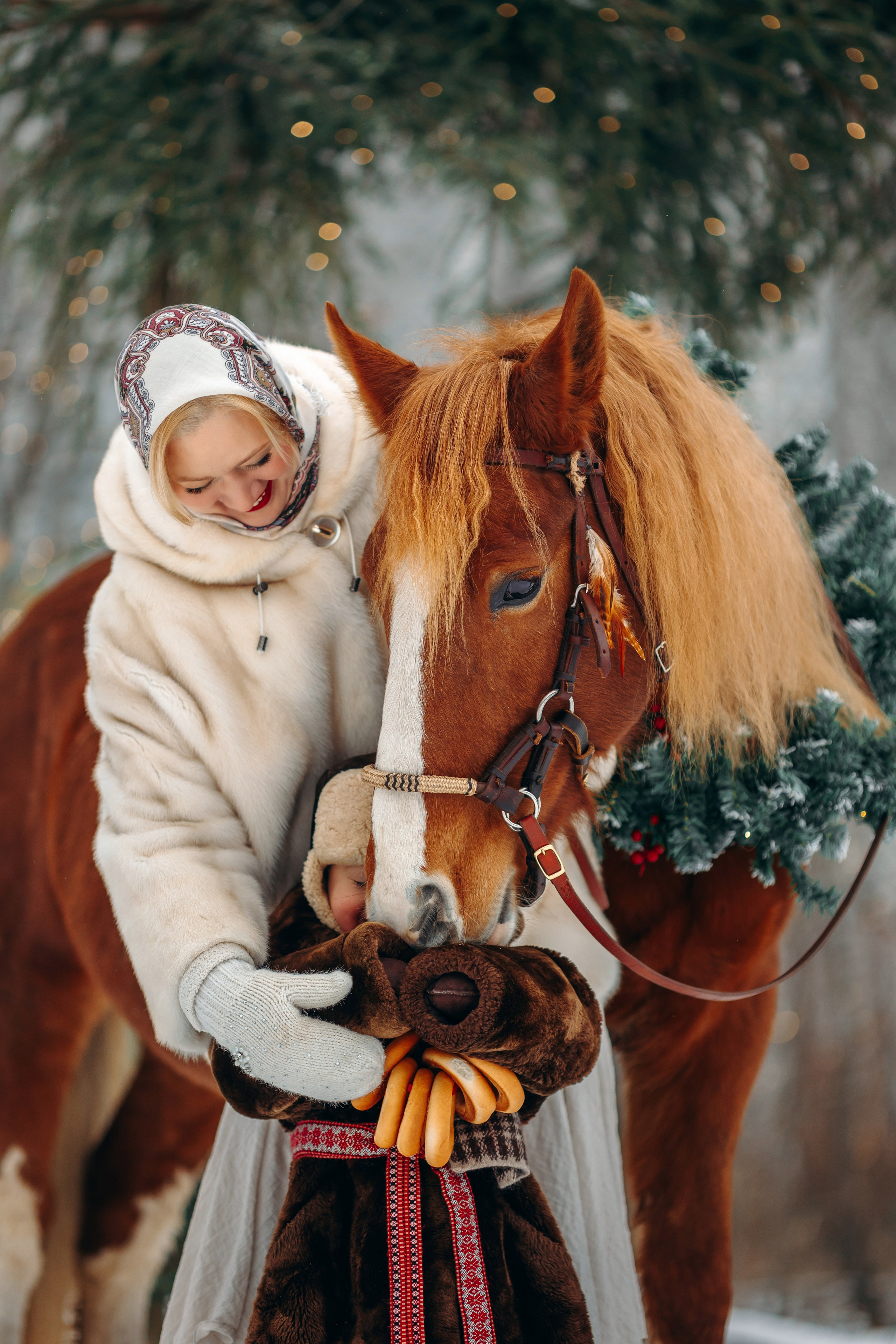 Тариф Новогодний 2025-2026. Анна Молчанова конный фотограф в Тюмени | фотосессии с лошадьми Тюмень