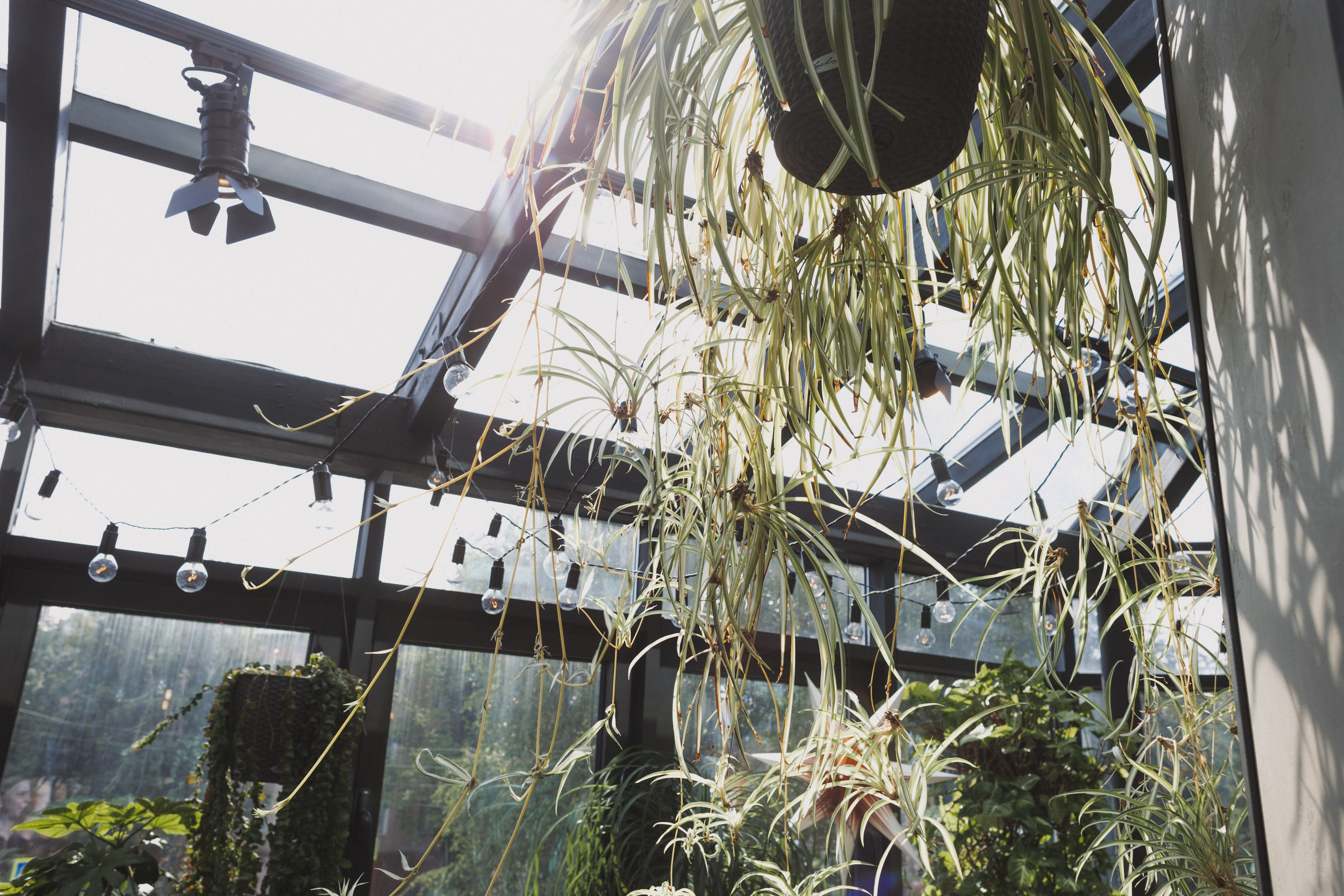 Алина и Слава 26.07.24. Фотограф Великий Новгород