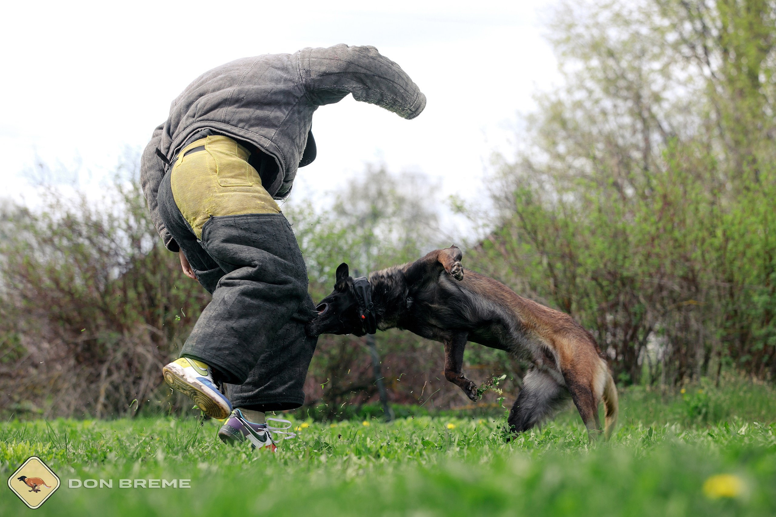 Семинар для фигурантов, день 2. Фотограф-анималист Mary Mart — Москва, Питер