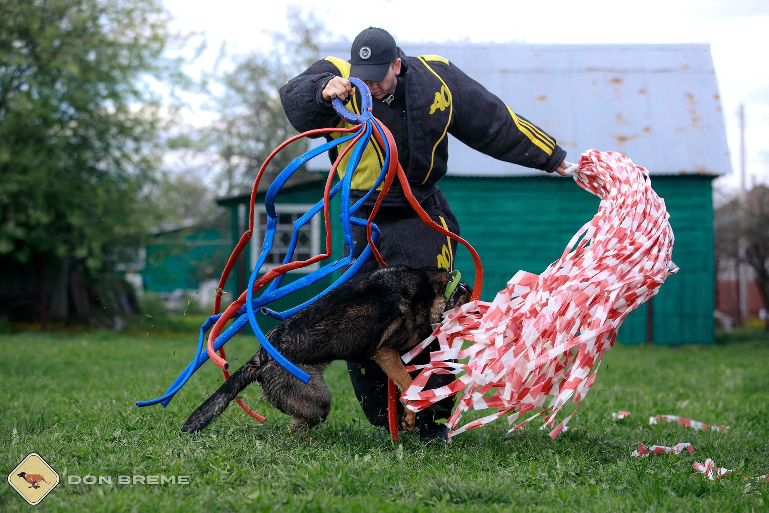 Семинар для фигурантов, день 2. Фотограф-анималист Mary Mart — Москва, Питер