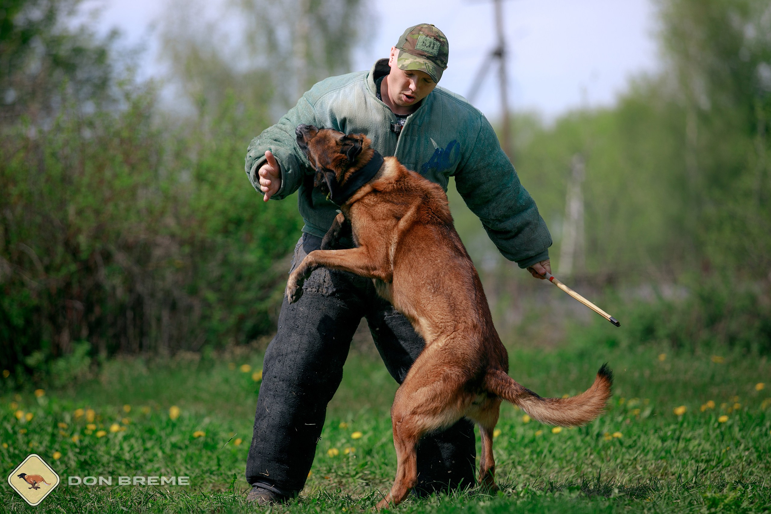 Семинар для фигурантов, день 4. Фотограф-анималист Mary Mart — Москва, Питер