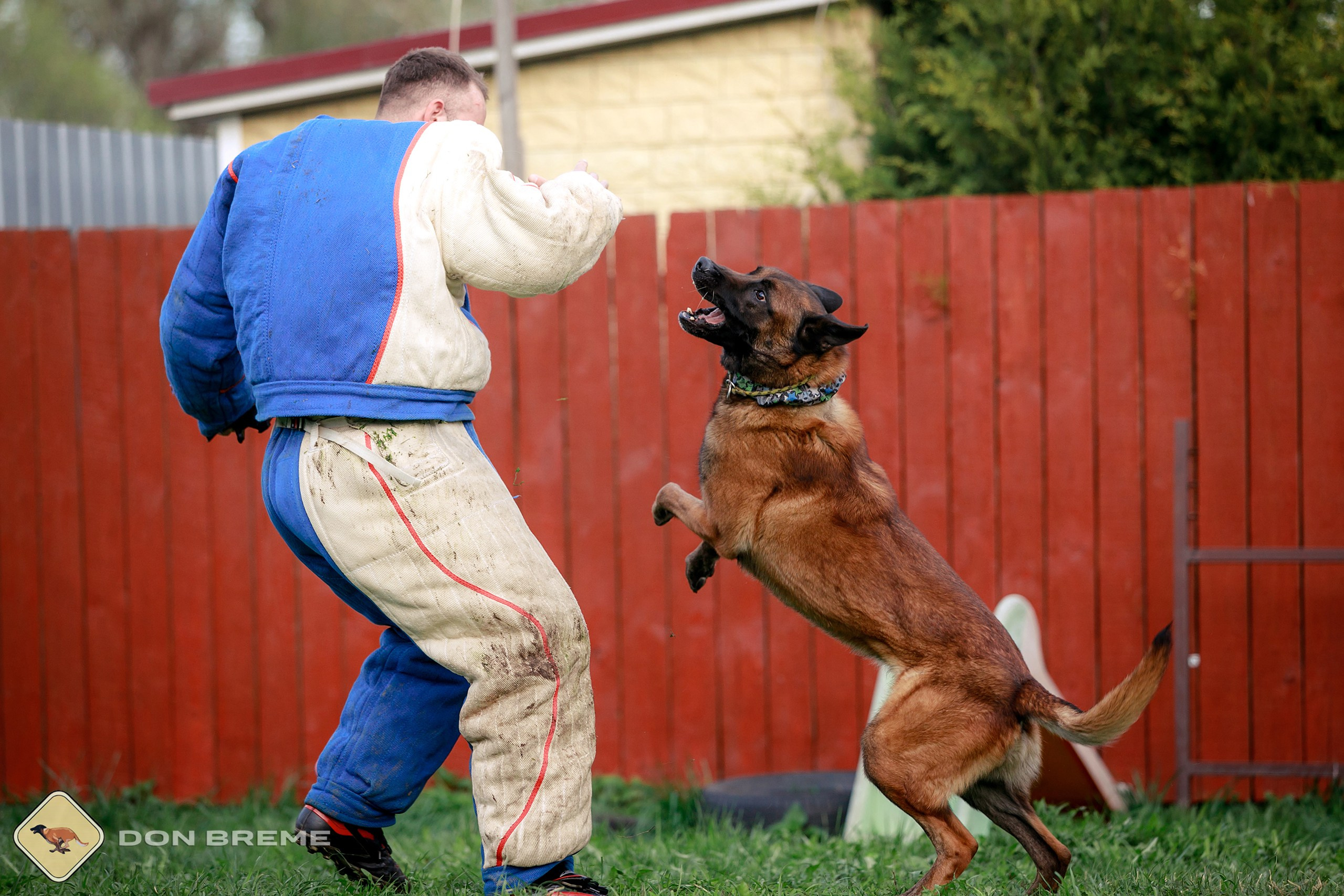 Семинар для фигурантов, день 2. Фотограф-анималист Mary Mart — Москва, Питер