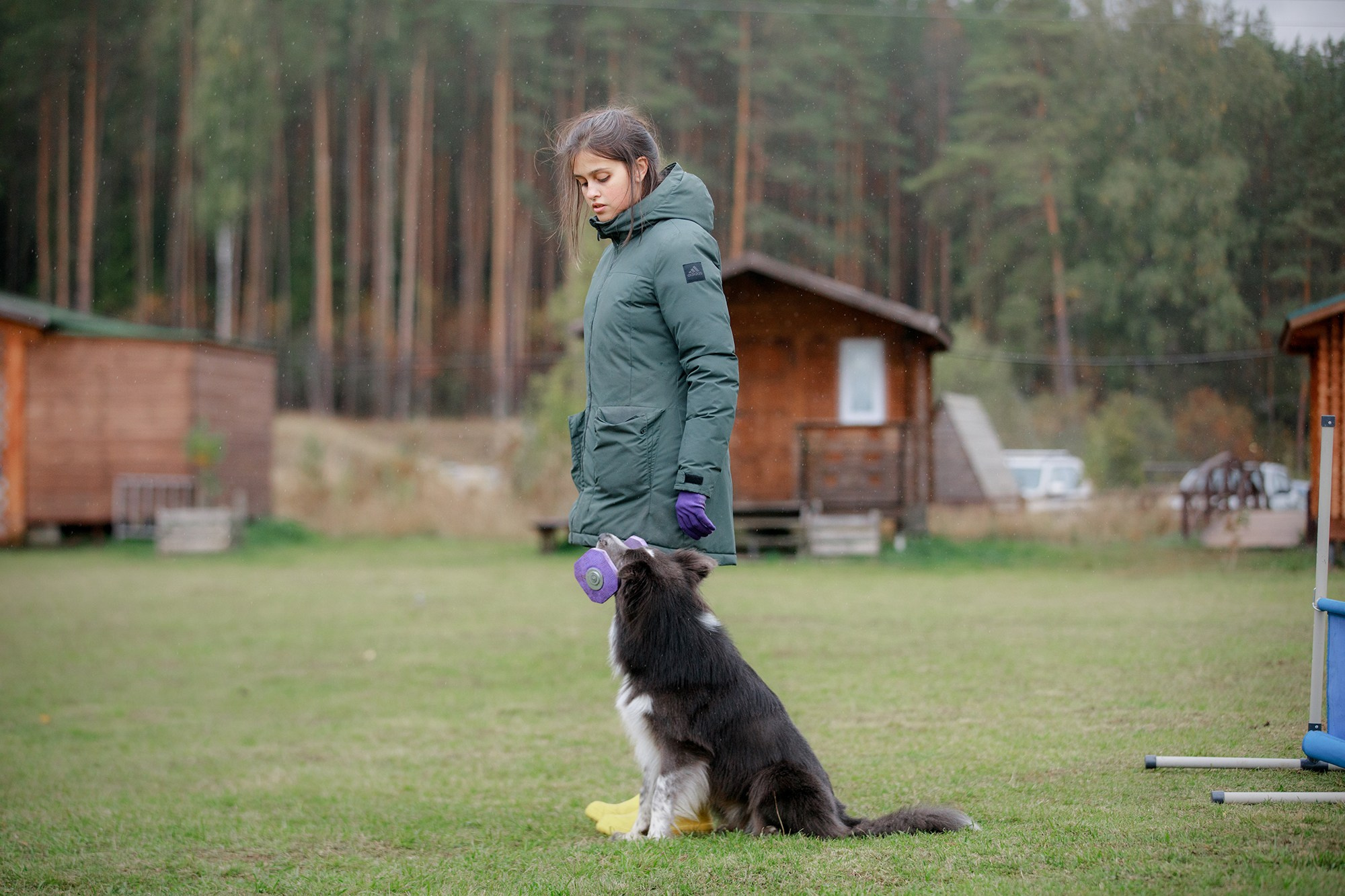 Лагерь по ОБД с Инной Баженовой. Фотограф-анималист Mary Mart — Москва, Питер