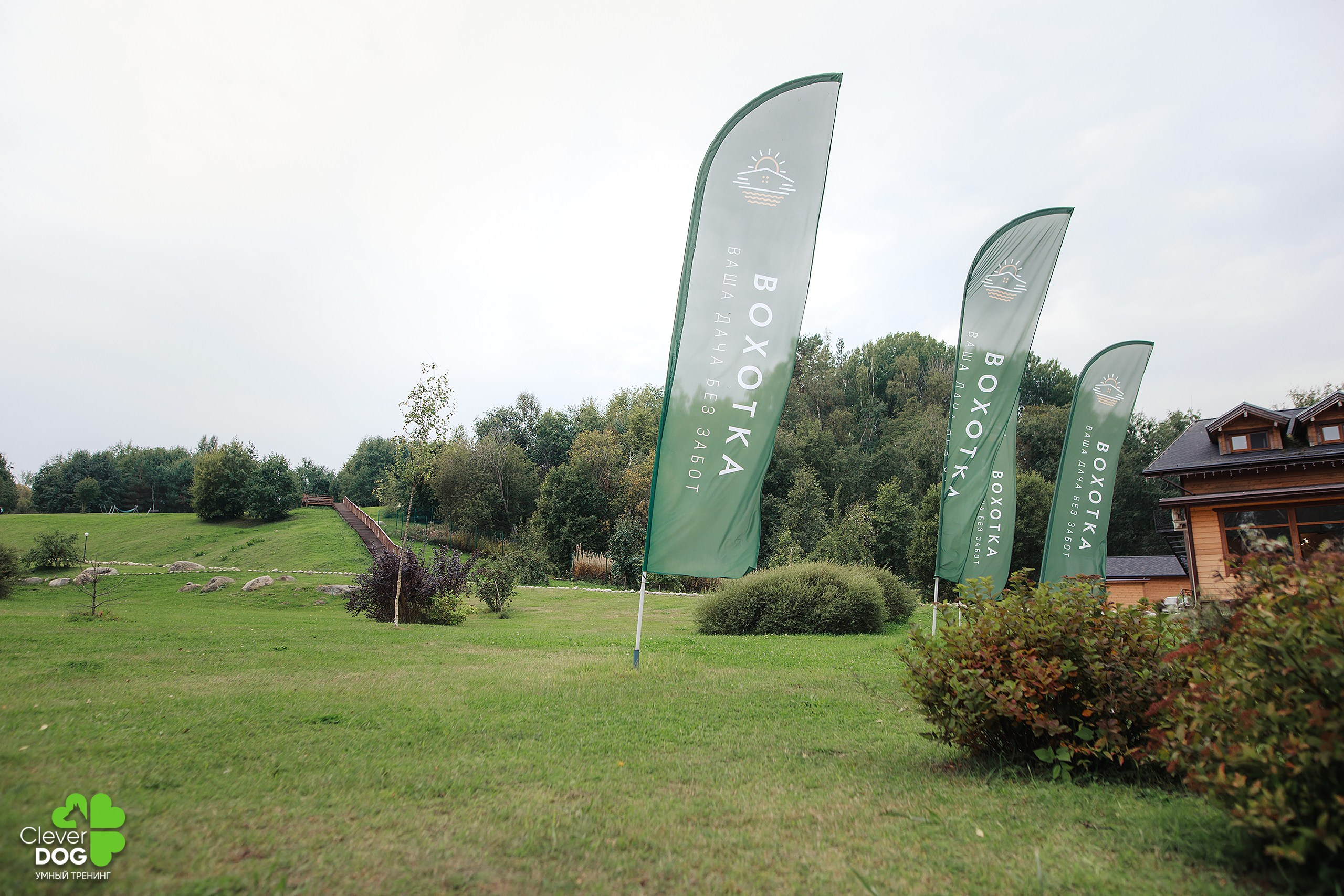 Кинологический лагерь CleverDog, 2024. Фотограф-анималист Mary Mart — Москва, Питер