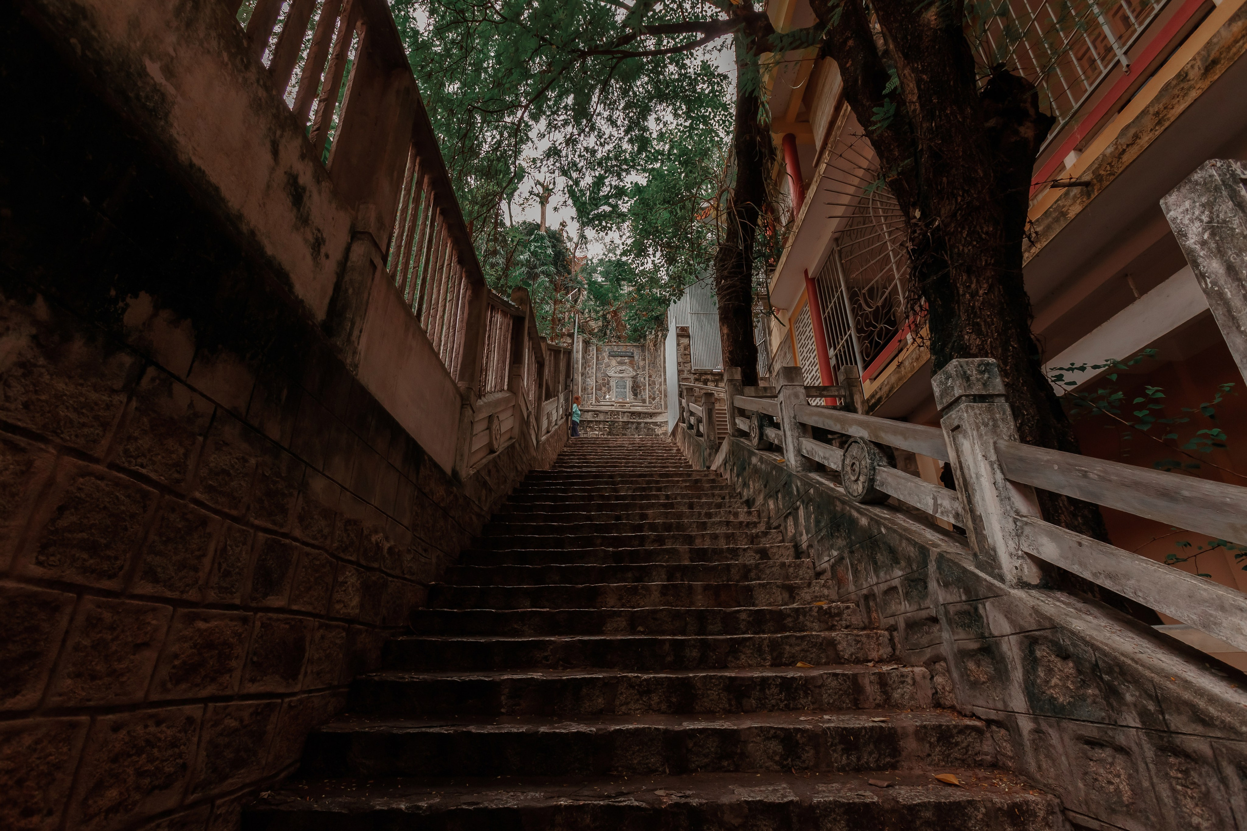 ВЬЕТНАМ 2023 / VIEtTNAM 2024. Главная