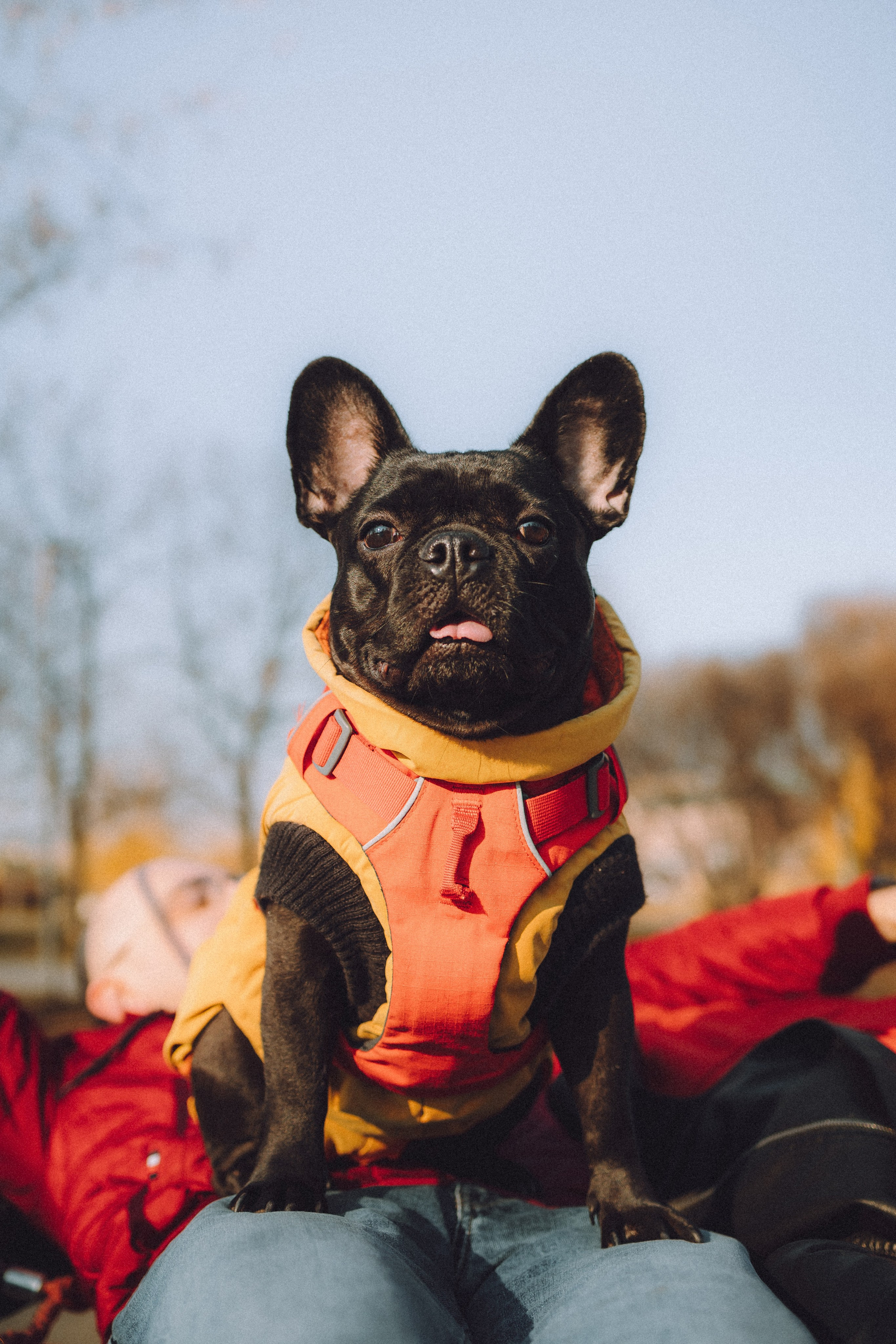 Саша, Дима и Шпуля