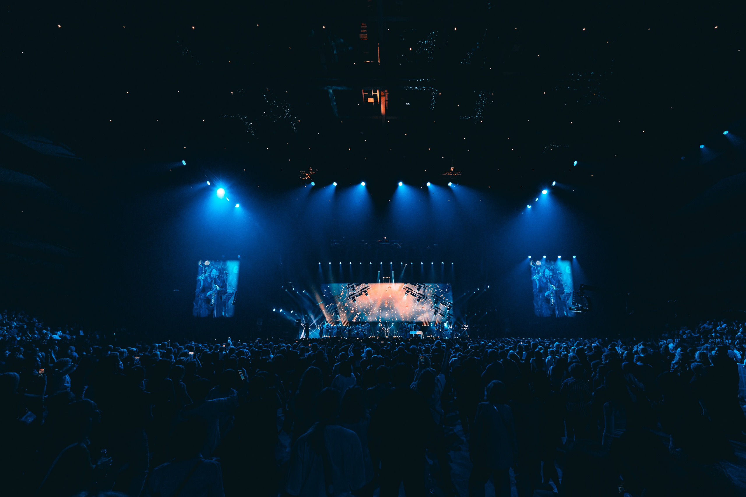 Владимир Пресняков. Магия музыки в кадре: Концертная Фотография