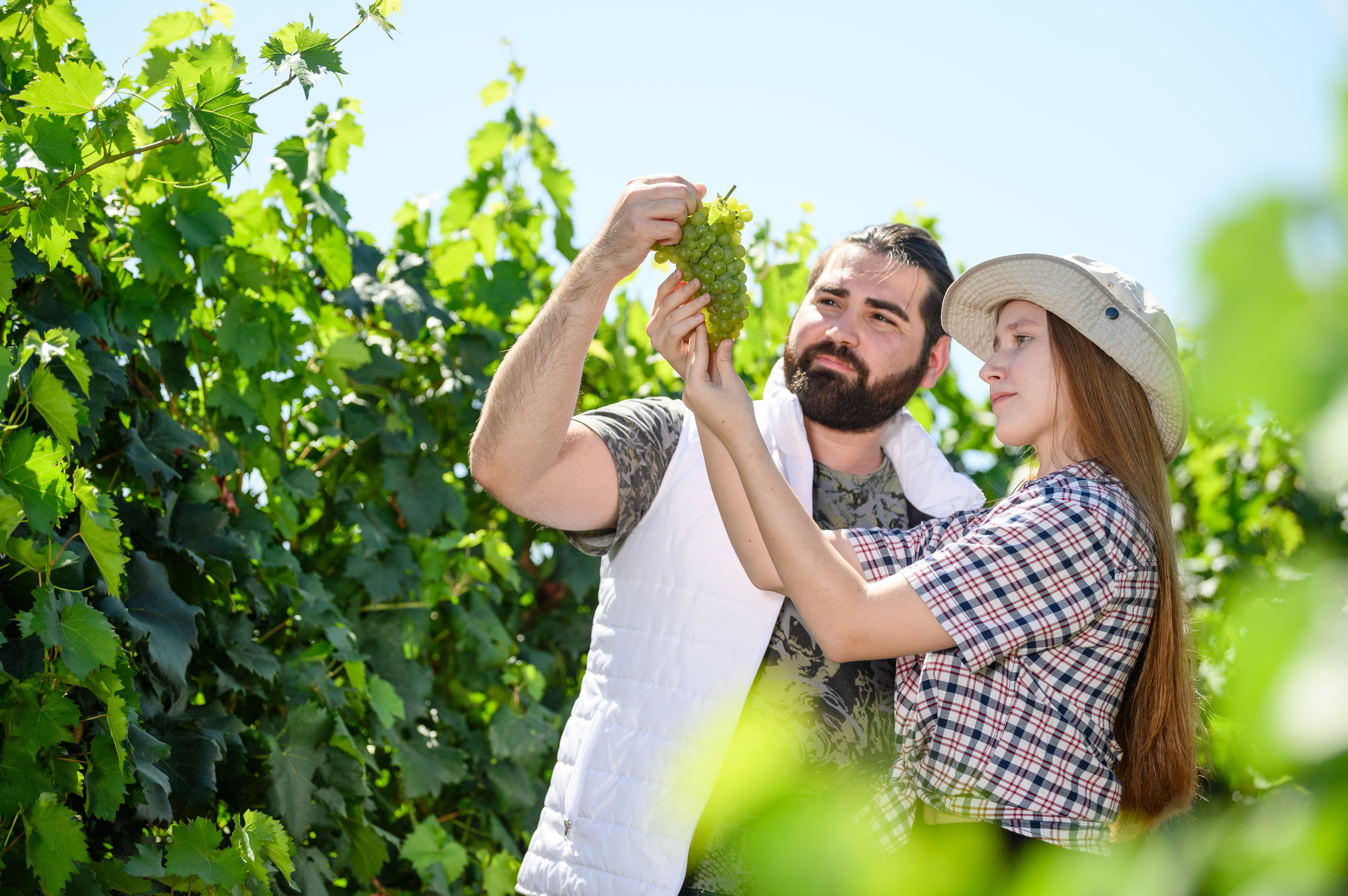 Проекты. Профессиональный фотограф Вячеслав Плацында | Липецк |