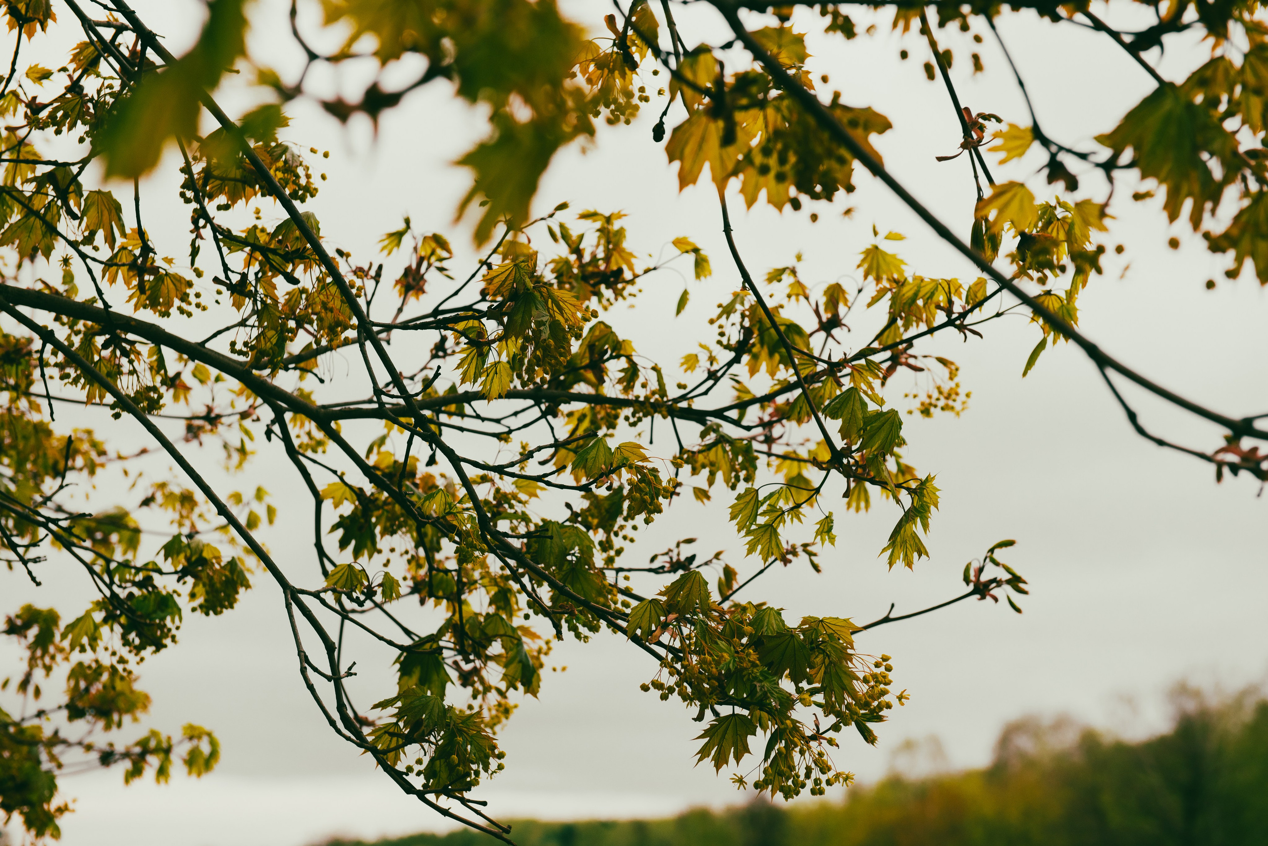 Текстуры апреля. Портретный и архитектурный фотограф в Москве и Санкт-Петербурге