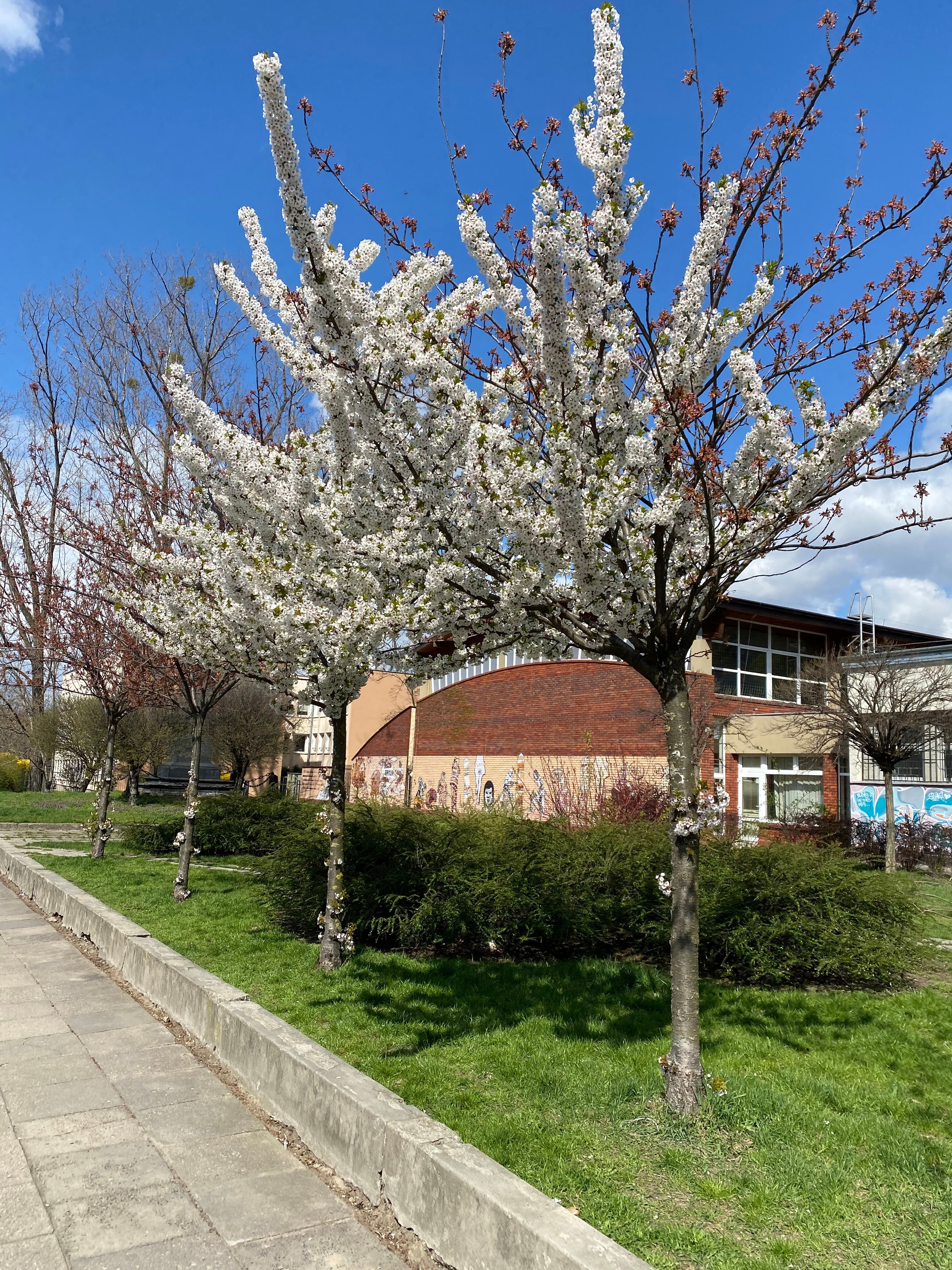 Варшава — 21. Своя Мастерская