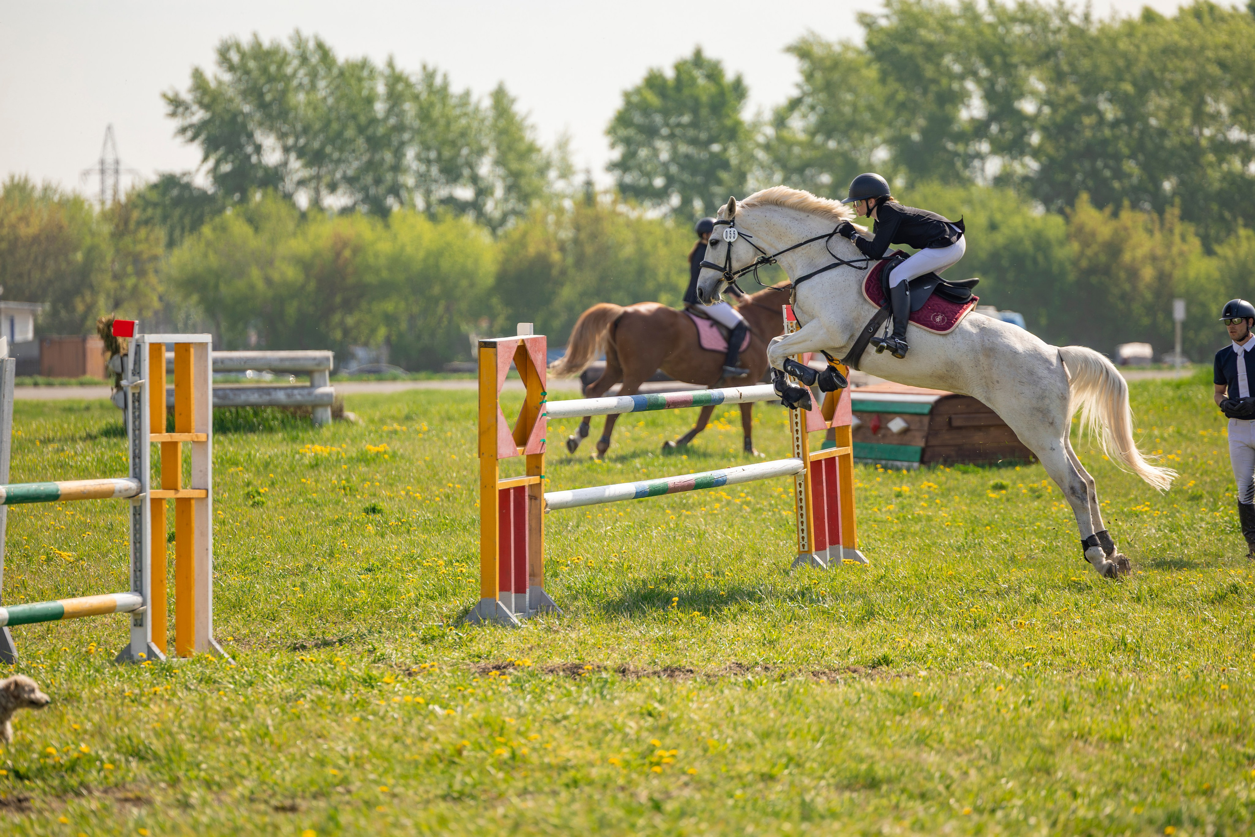Ипподром г. Новосибирска «Конкур». Арт — фотограф в Норильске Дмитрий Степанов